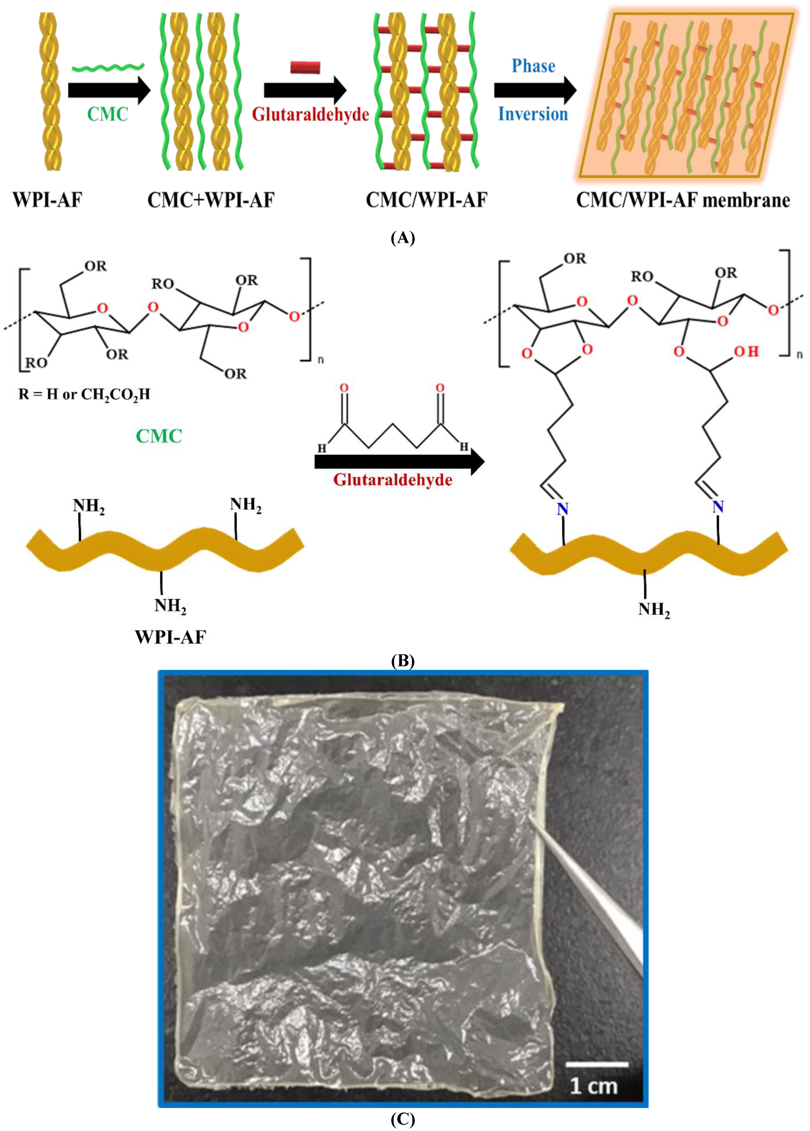 Polymers 15 01444 g003