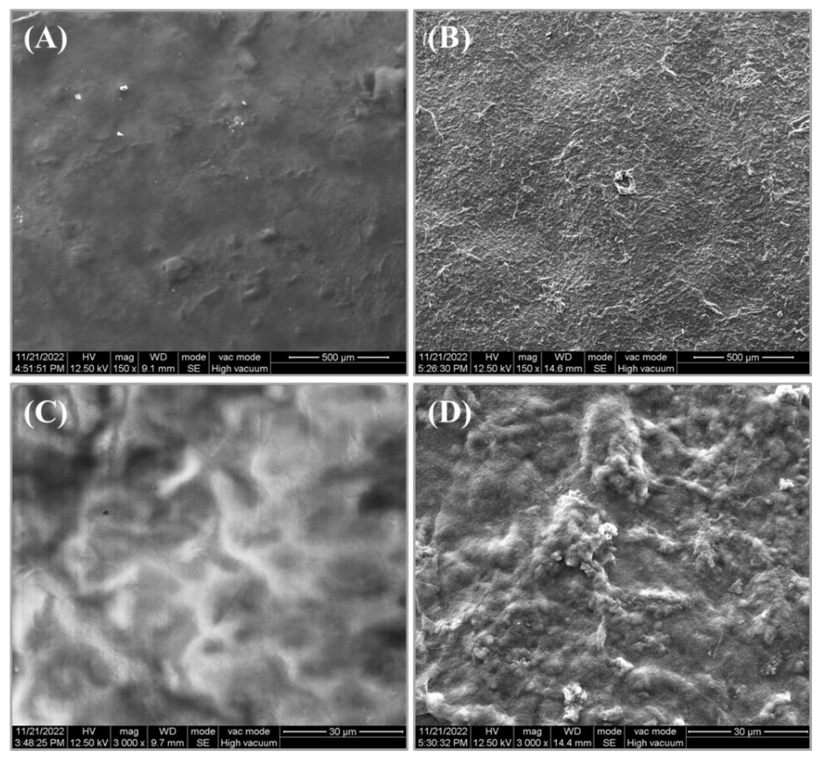 Polymers 15 01444 g005