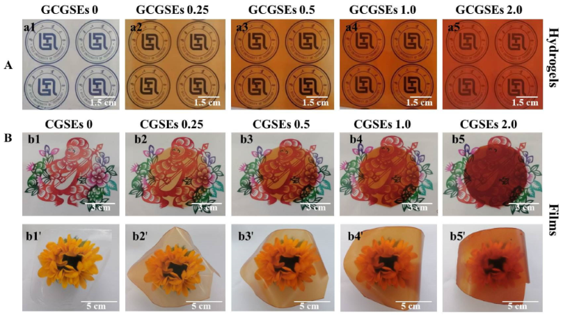 Polymers 15 01451 g002