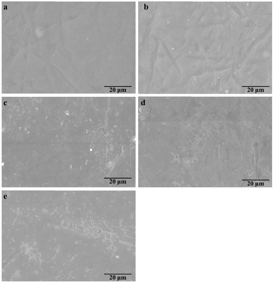 Polymers 15 01451 g007
