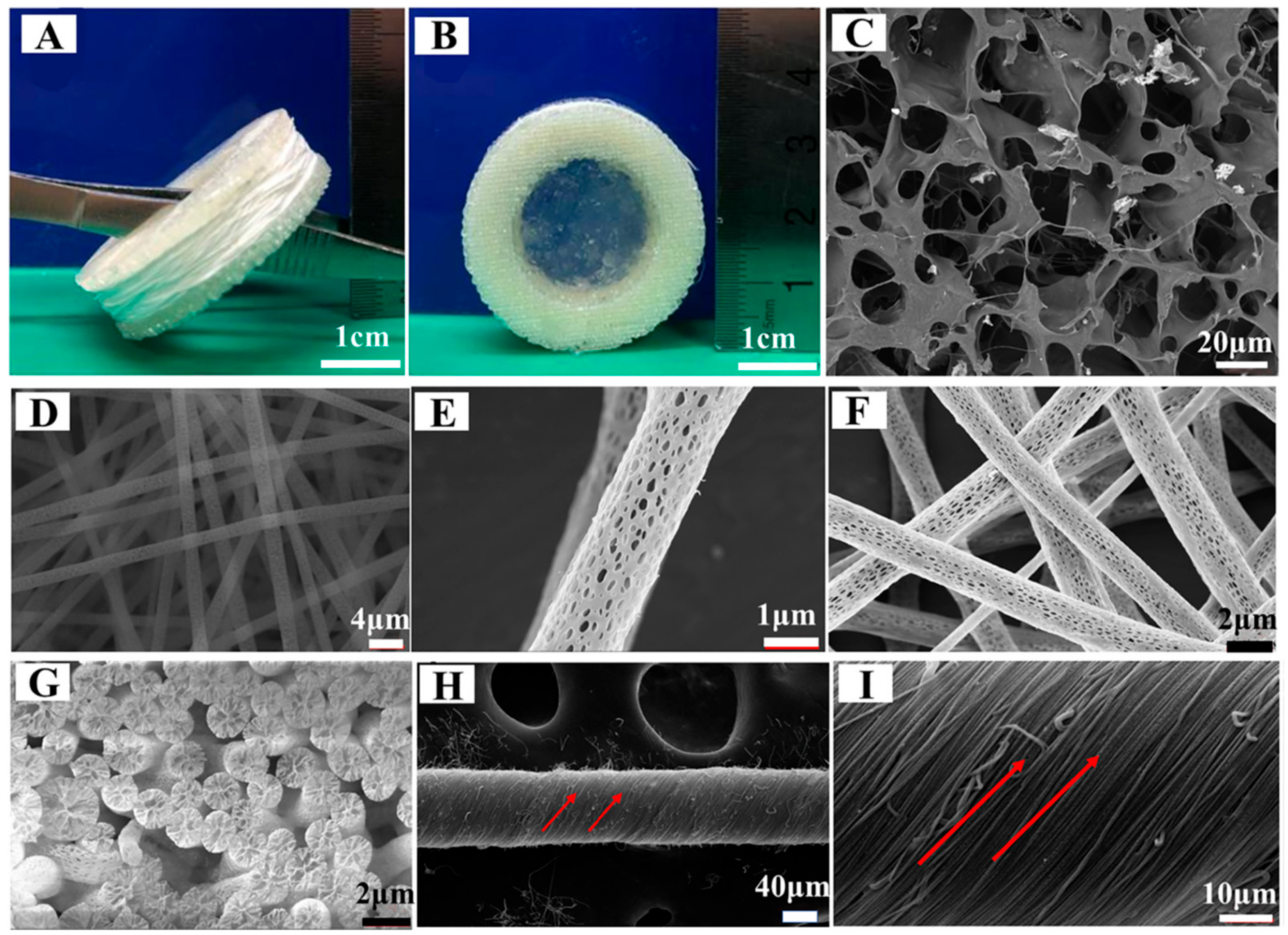 Polymers 15 01452 g004