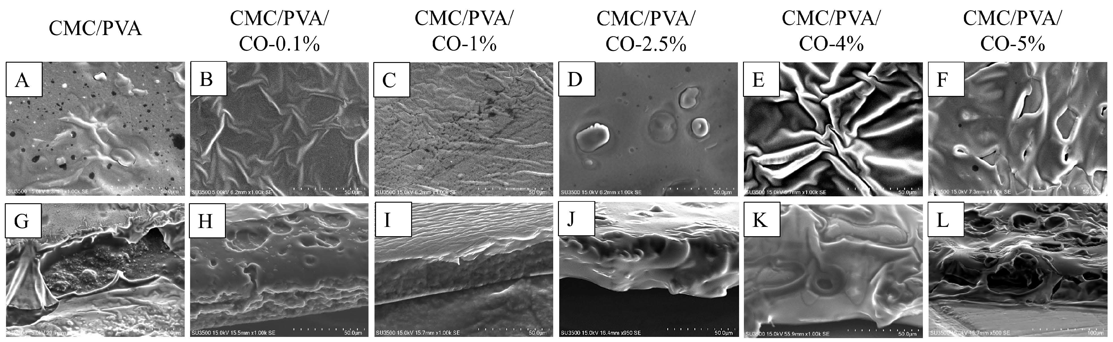 Polymers 15 01454 g002 Polymers 15 01454 g002