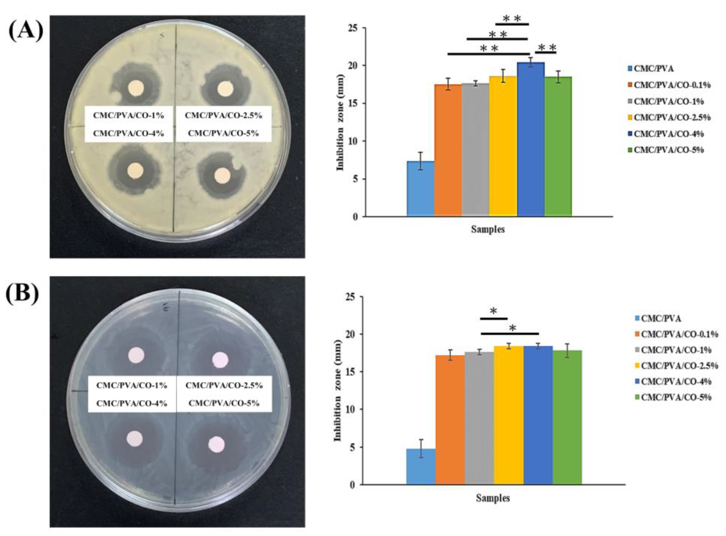 Polymers 15 01454 g007 Polymers 15 01454 g007