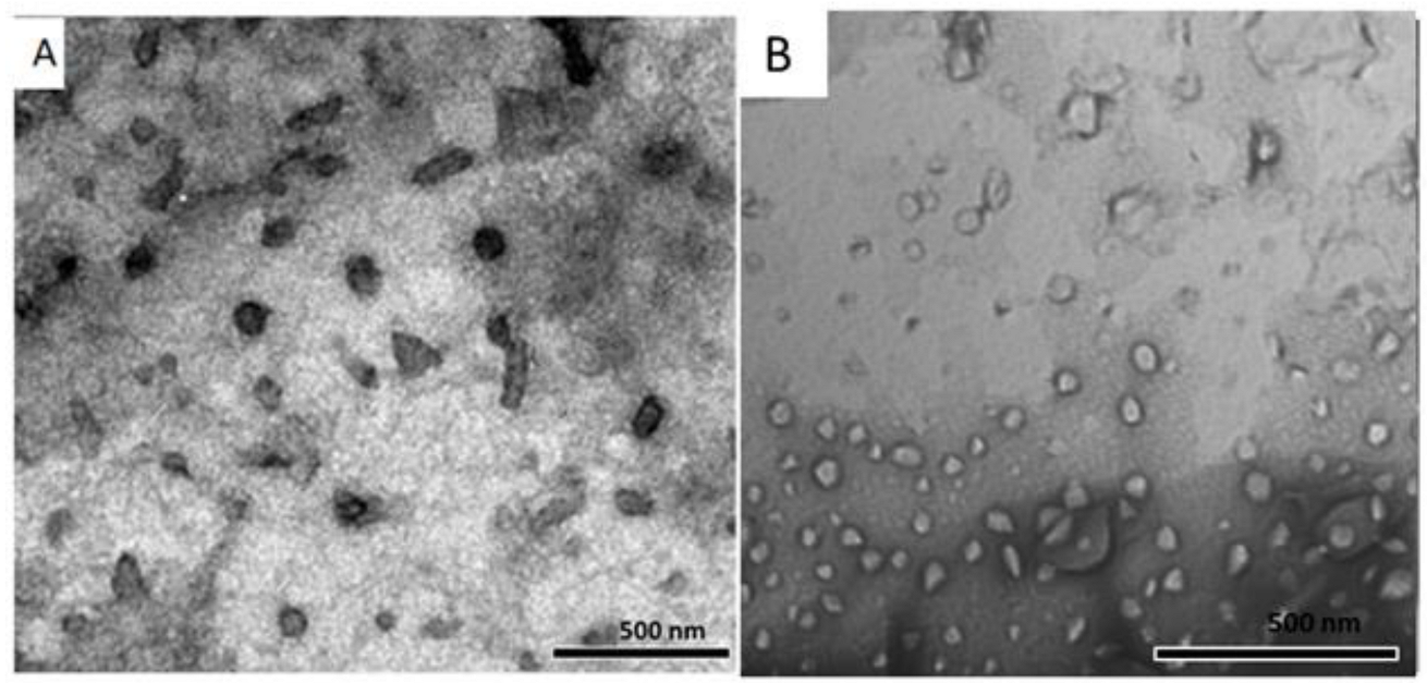 Polymers 15 01464 g002 Polymers 15 01464 g002