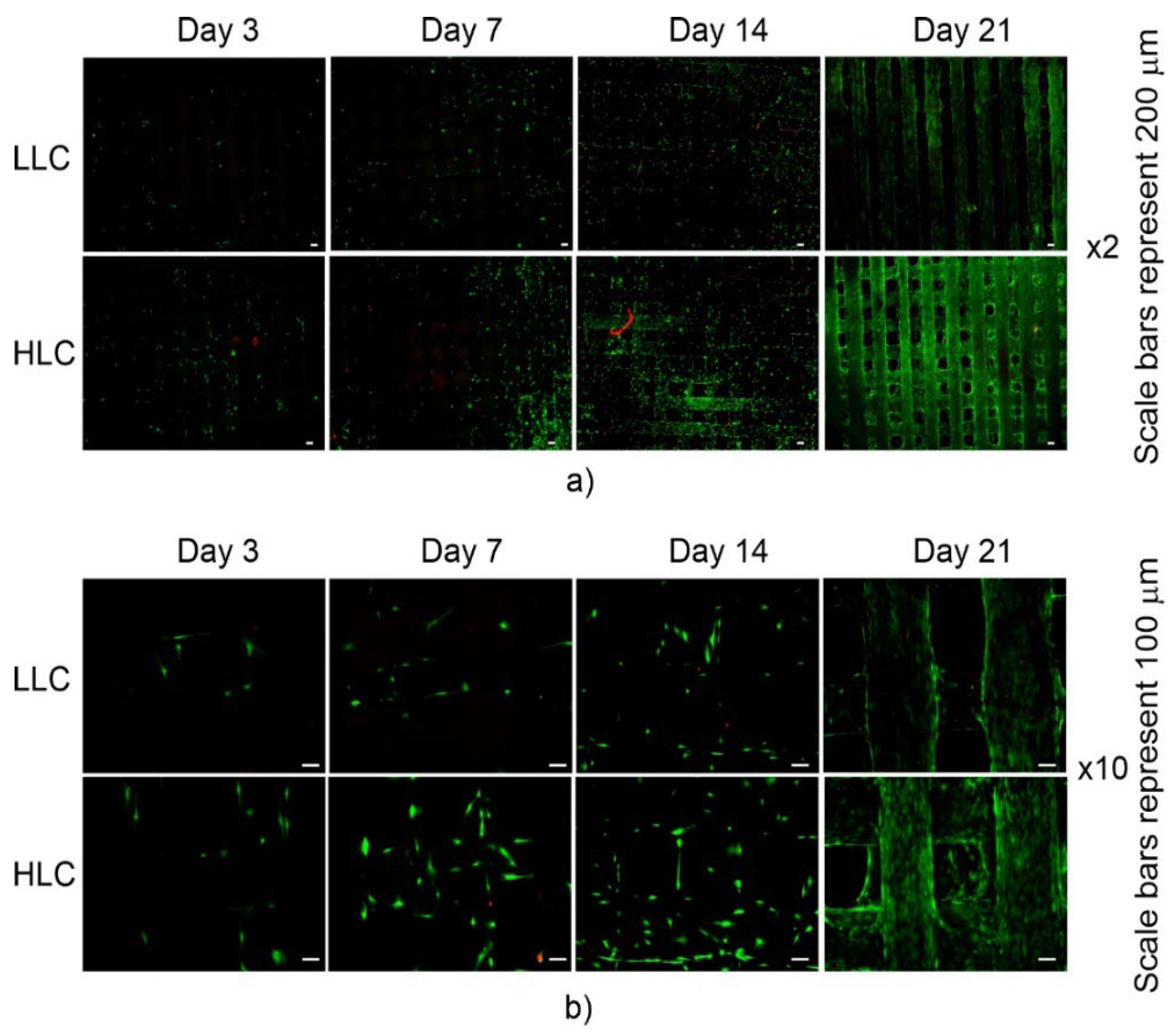 Polymers 15 01468 g016
