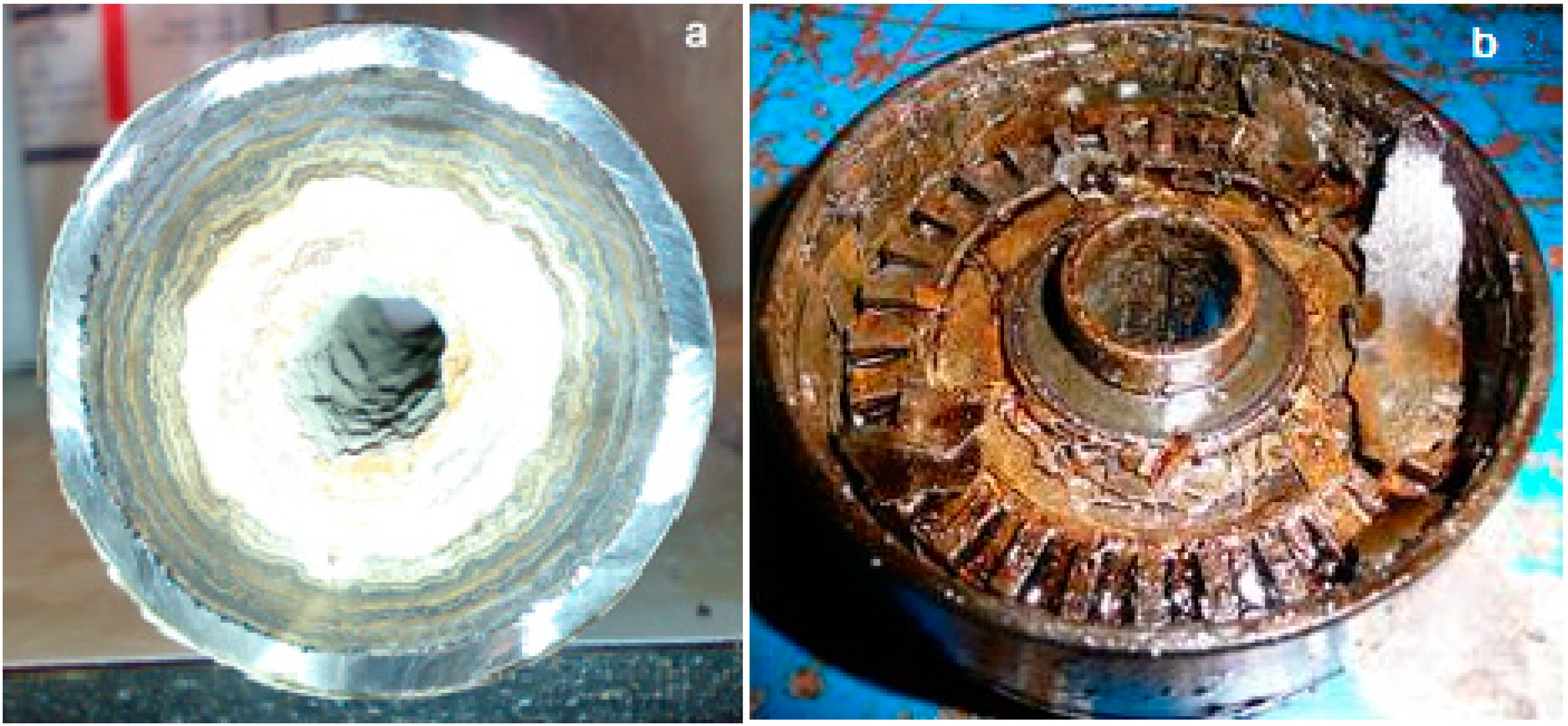 Polymers 15 01478 g002