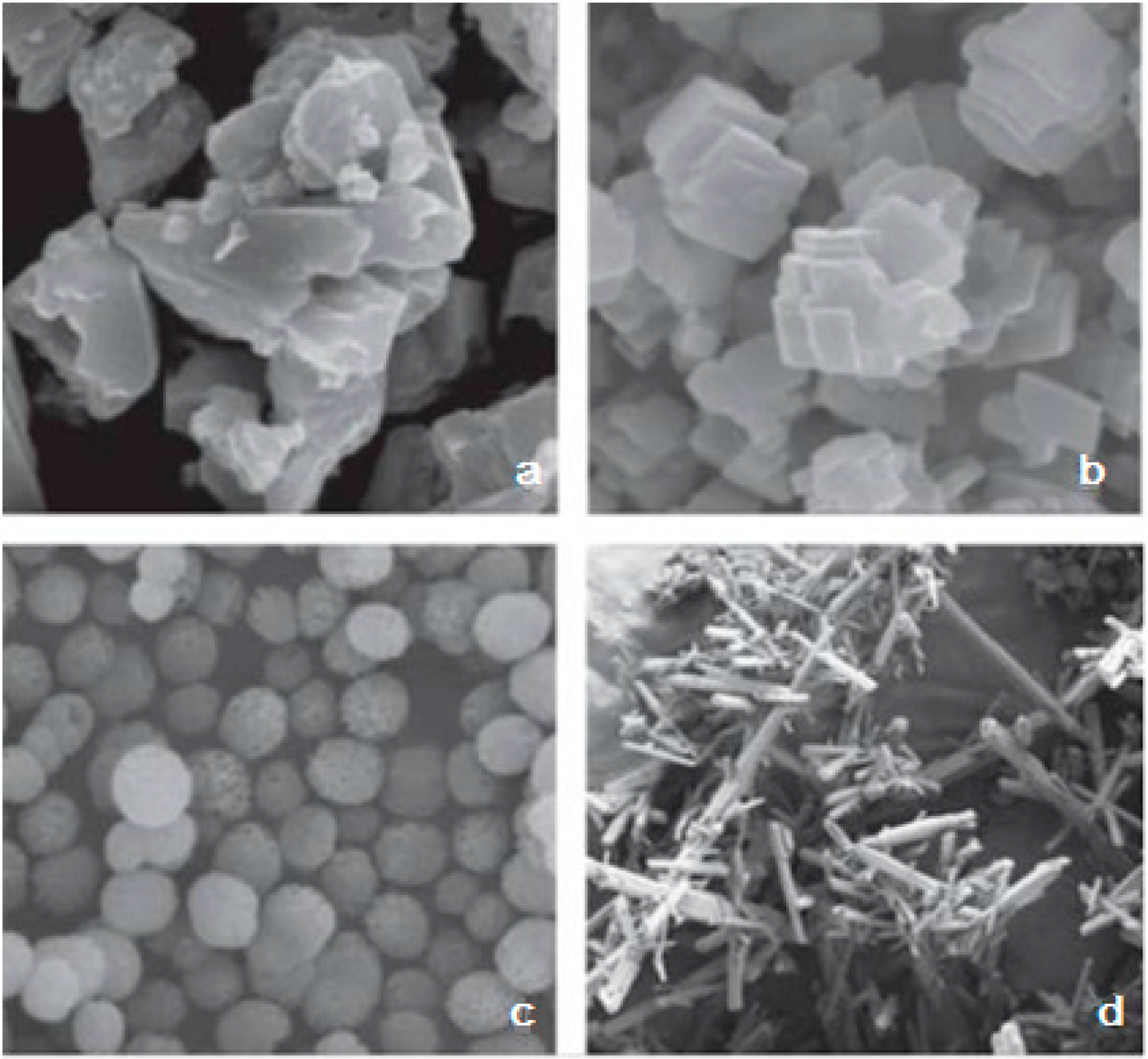 Polymers 15 01478 g003