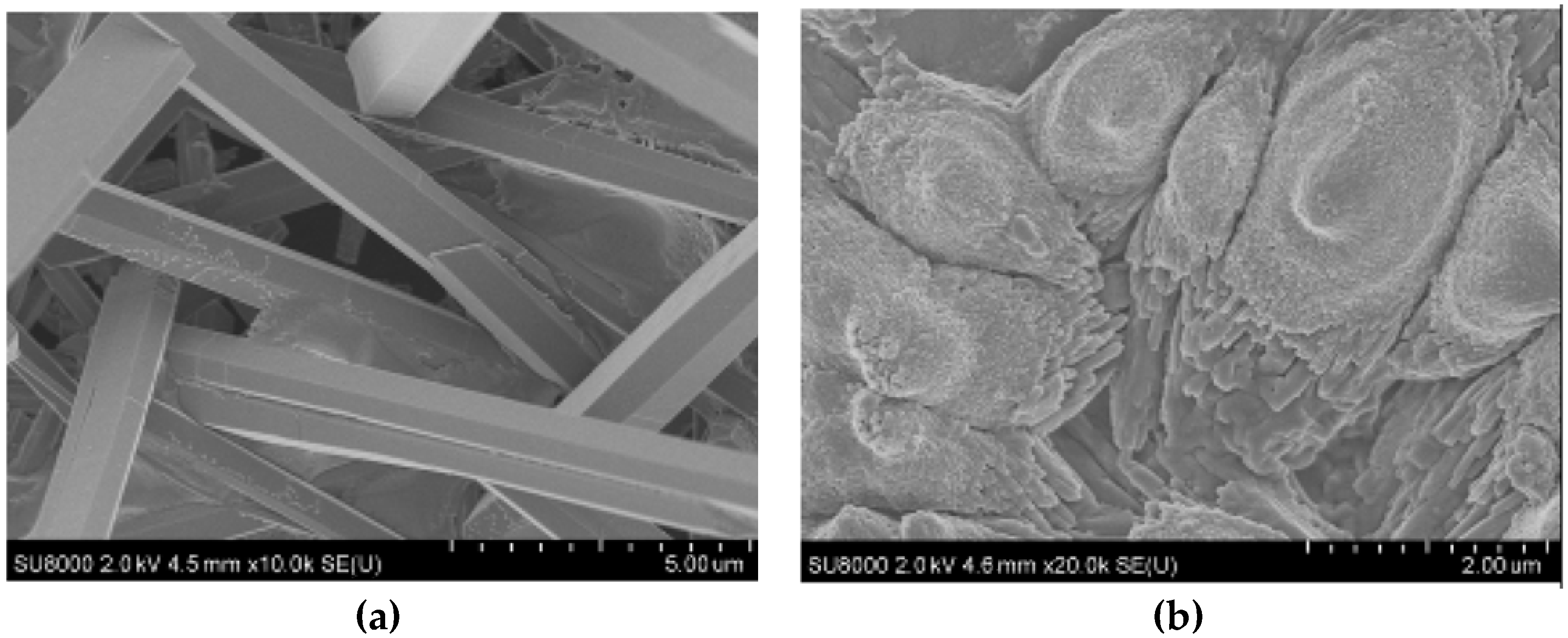 Polymers 15 01478 g015