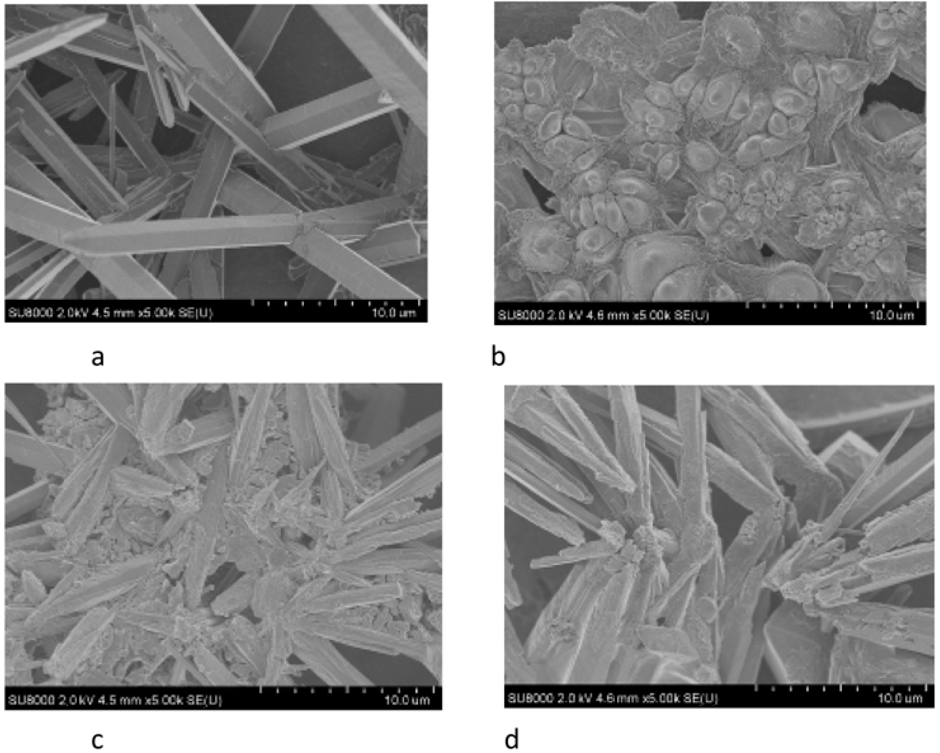 Polymers 15 01478 g019