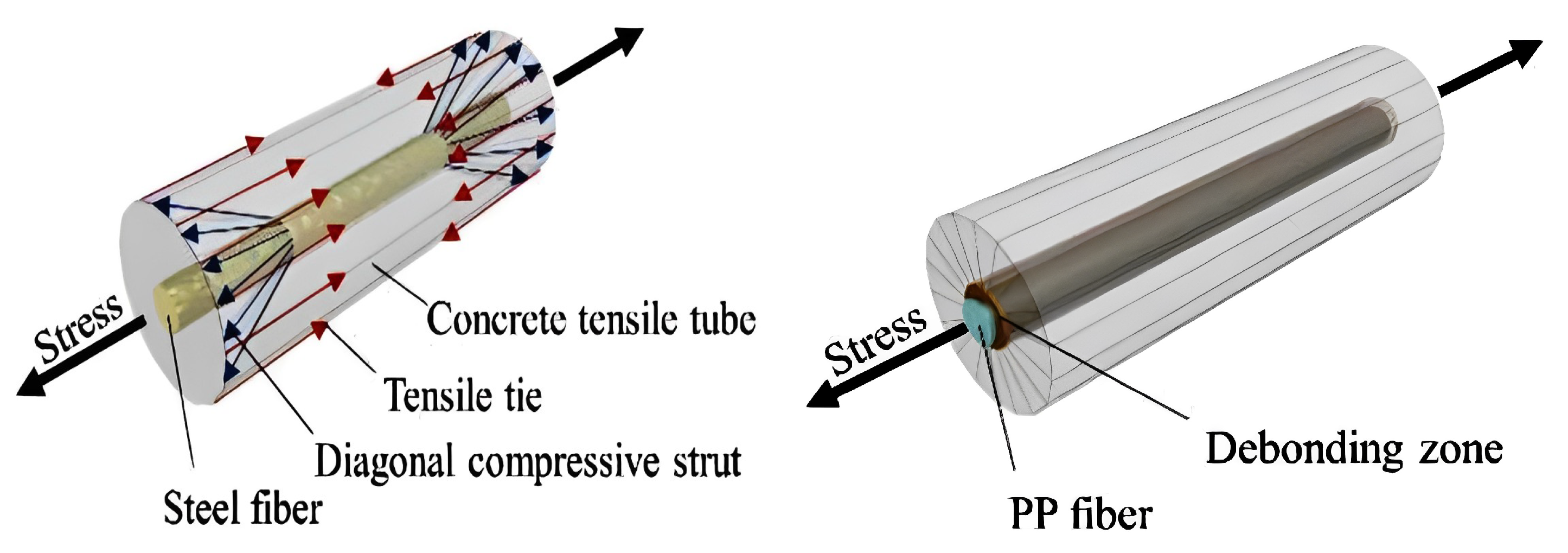 Polymers 15 01484 g003