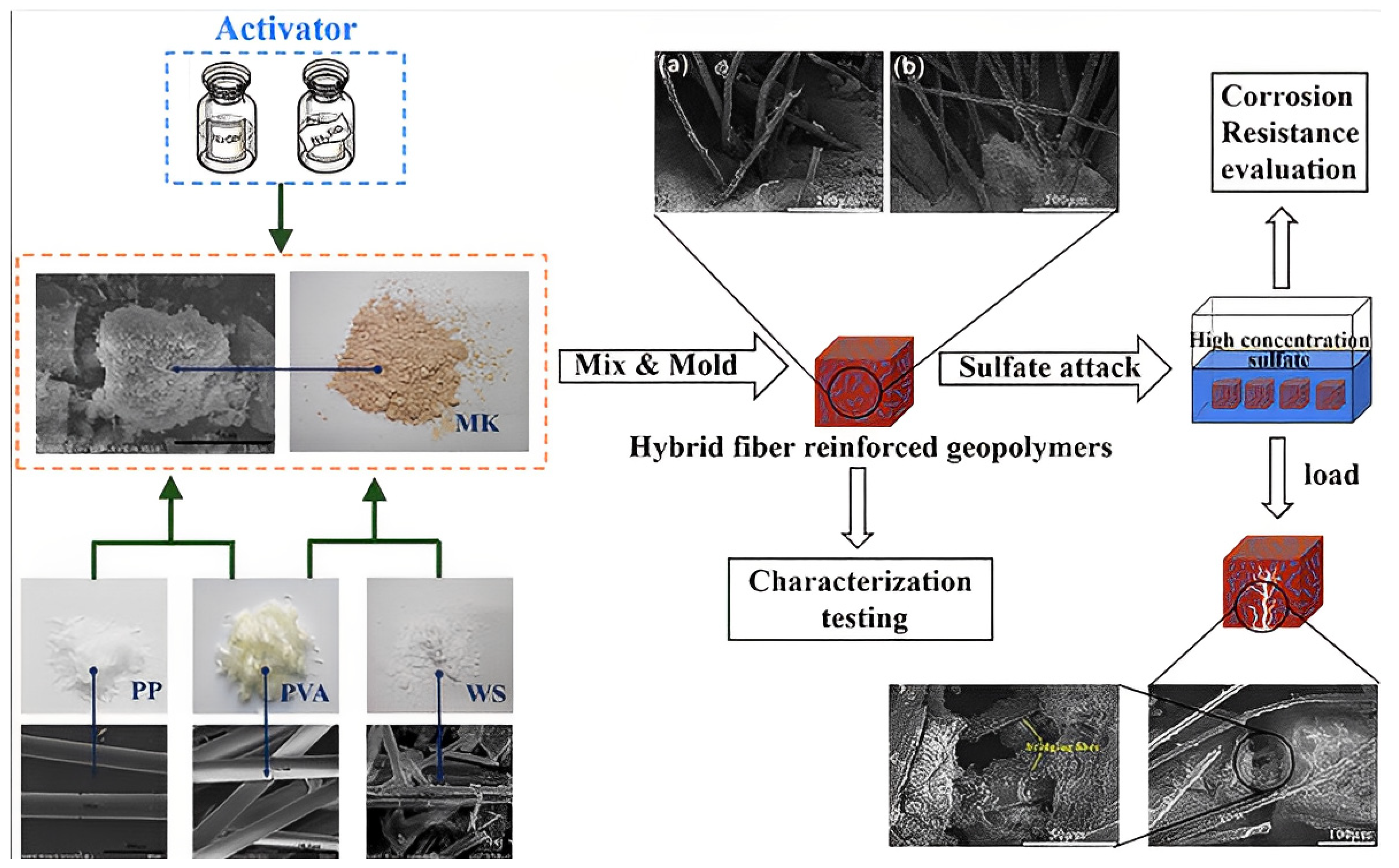 Polymers 15 01484 g004