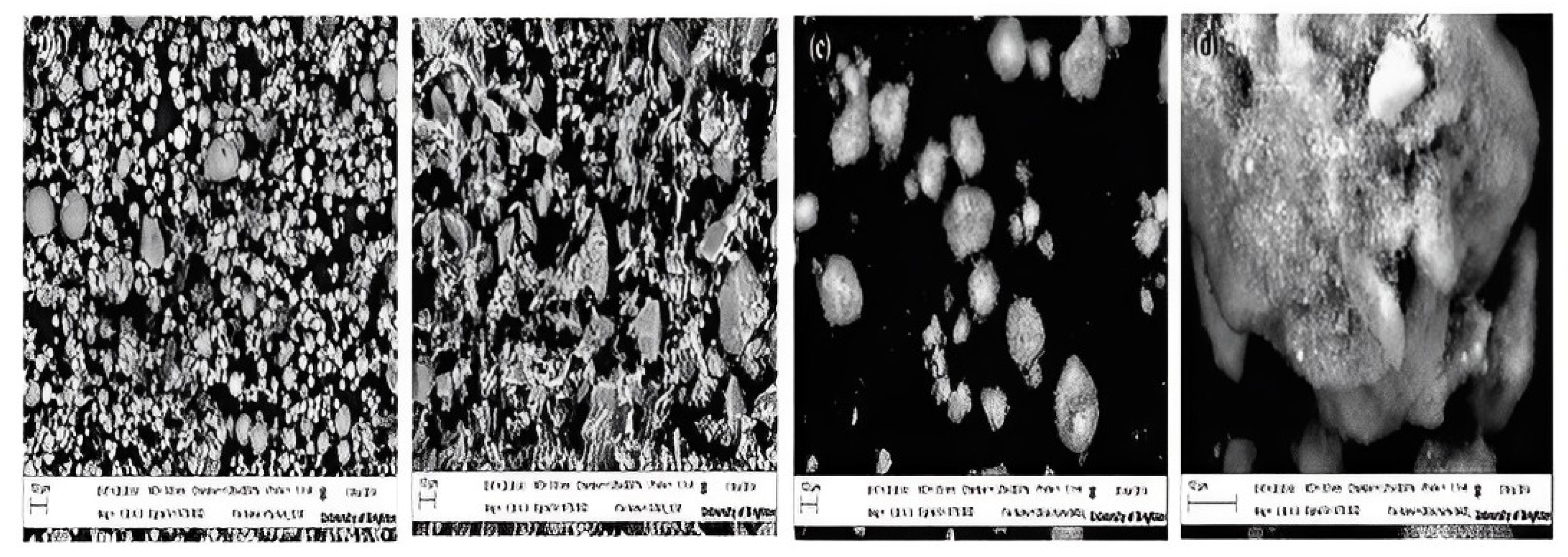 Polymers 15 01484 g016