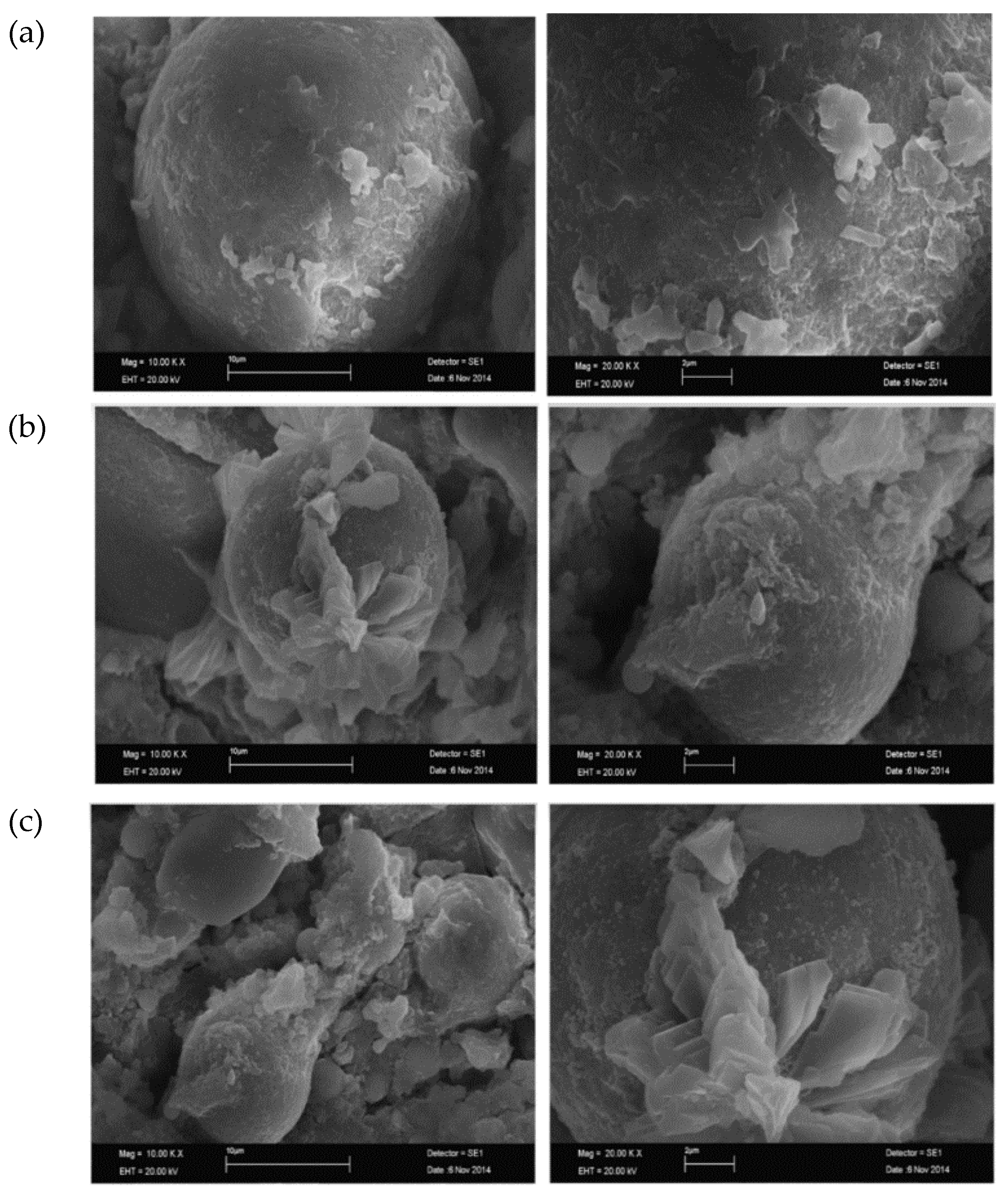 Polymers 15 01484 g018