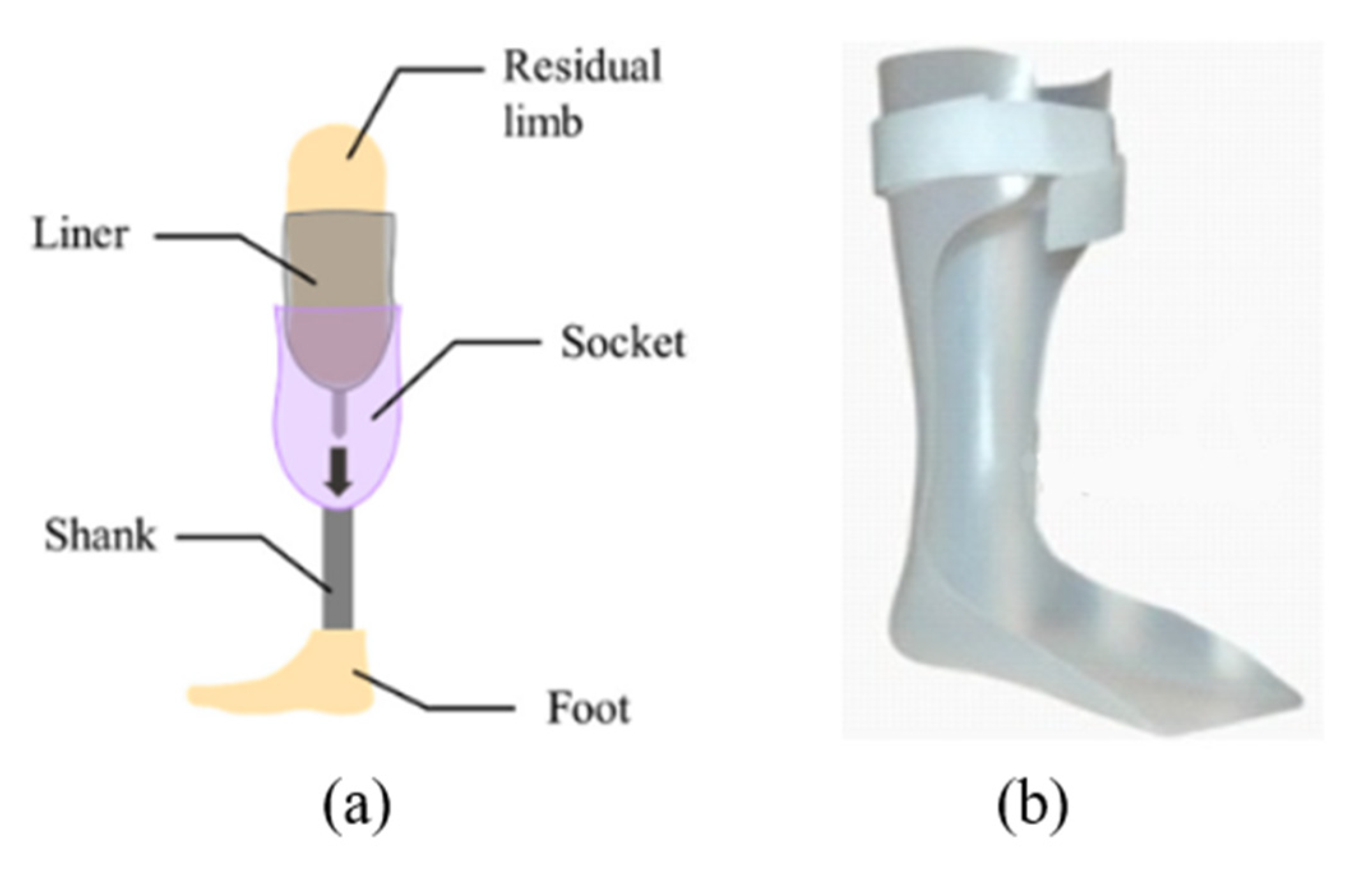 a. Above: Realistic prosthetic limb for upper limb loss made of