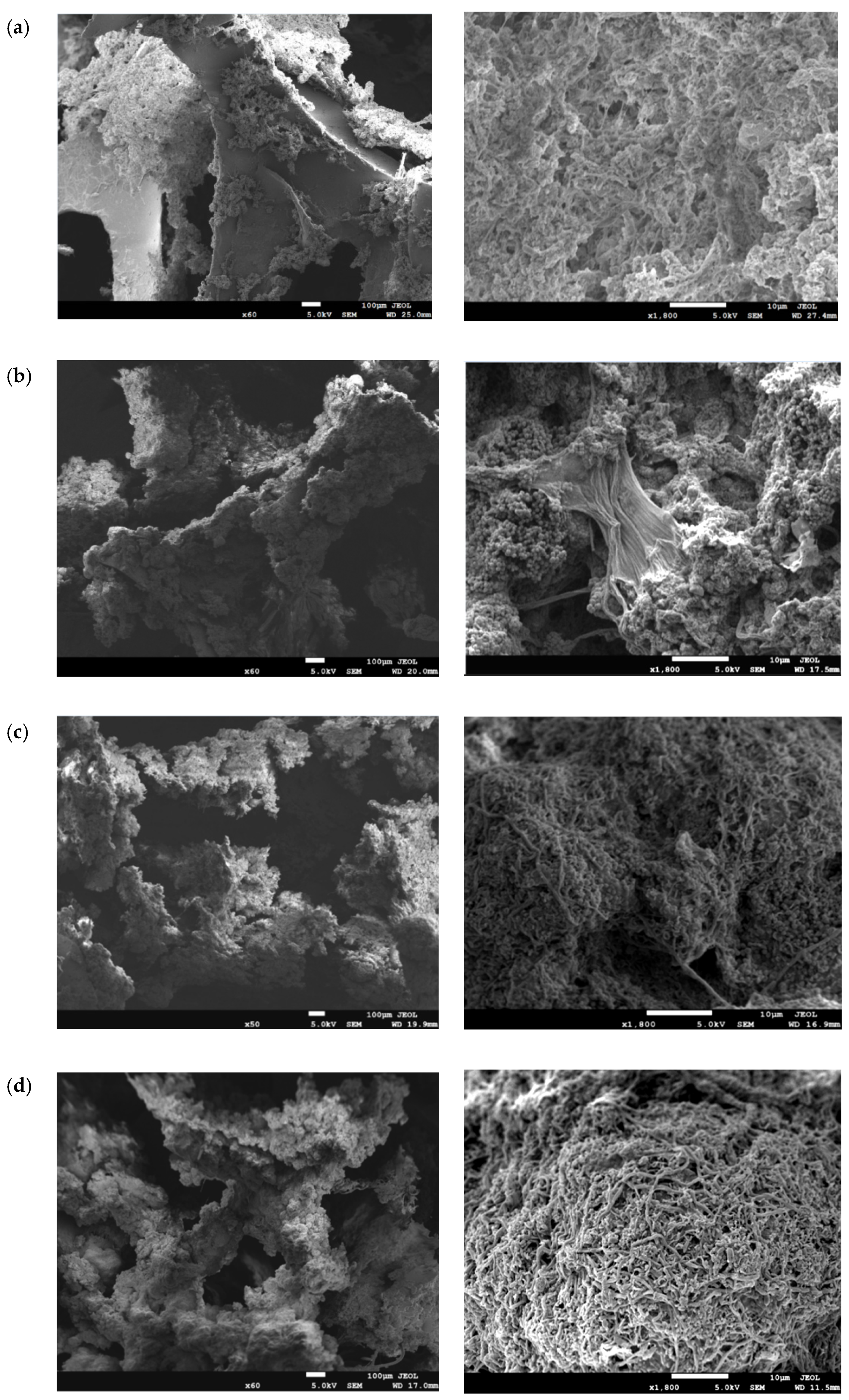 Polymers 15 01510 g005 Polymers 15 01510 g005