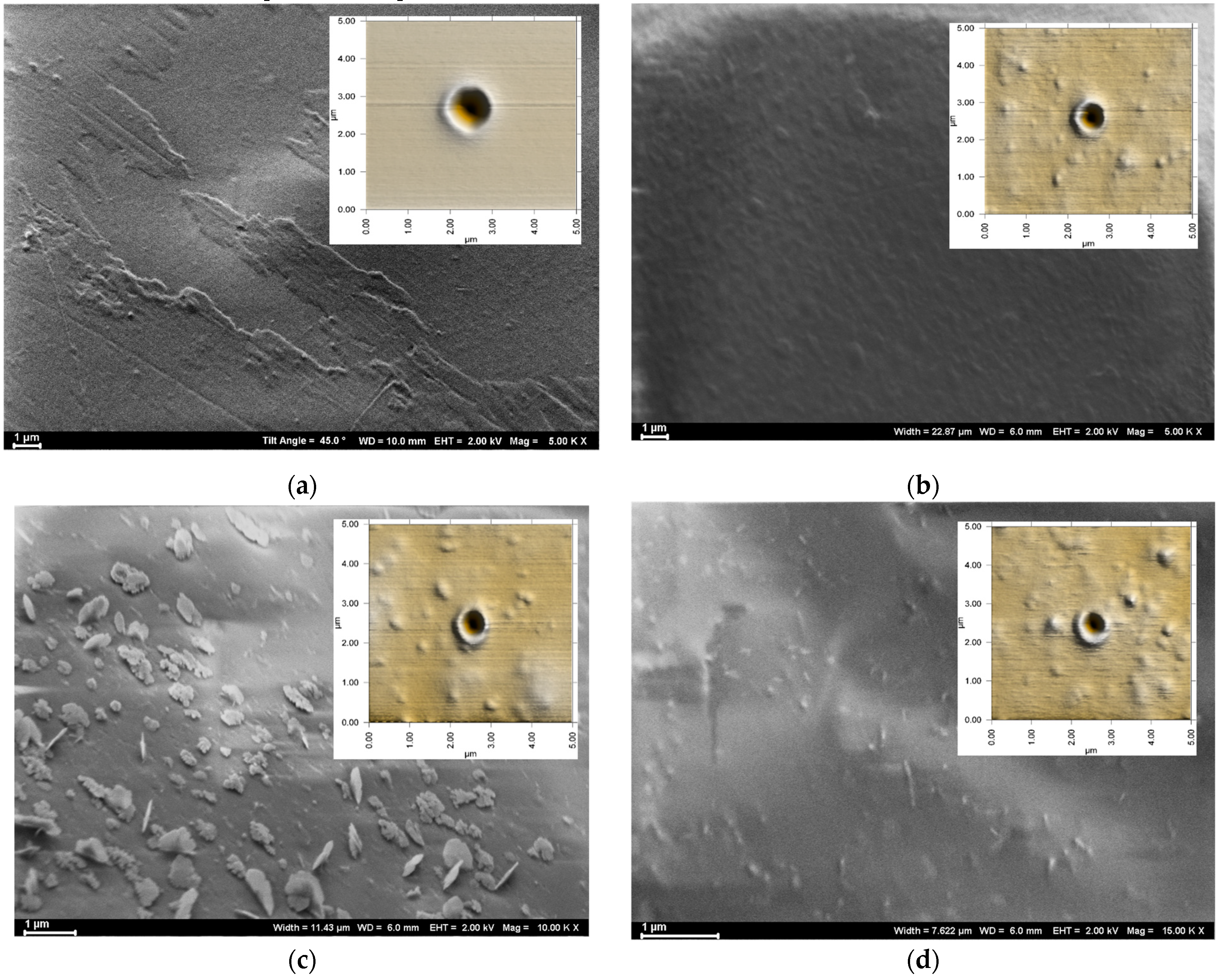 Polymers 15 01522 g004 Polymers 15 01522 g004