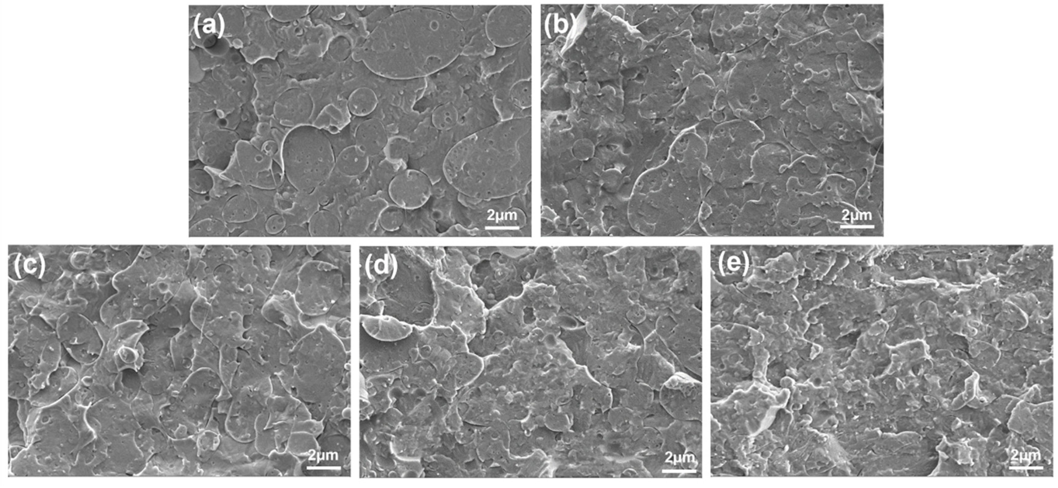 Polymers 15 01533 g005