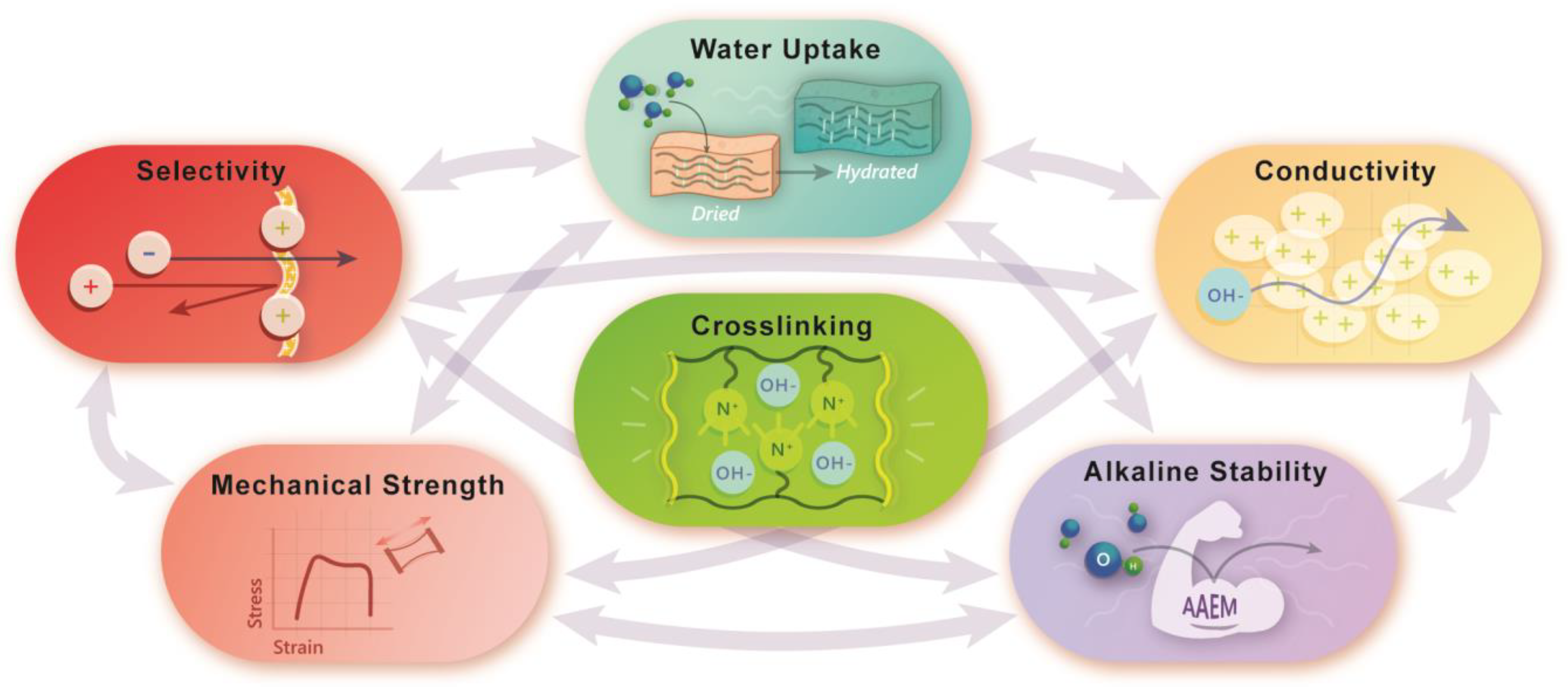 Polymers 15 01534 g002 Polymers 15 01534 g002