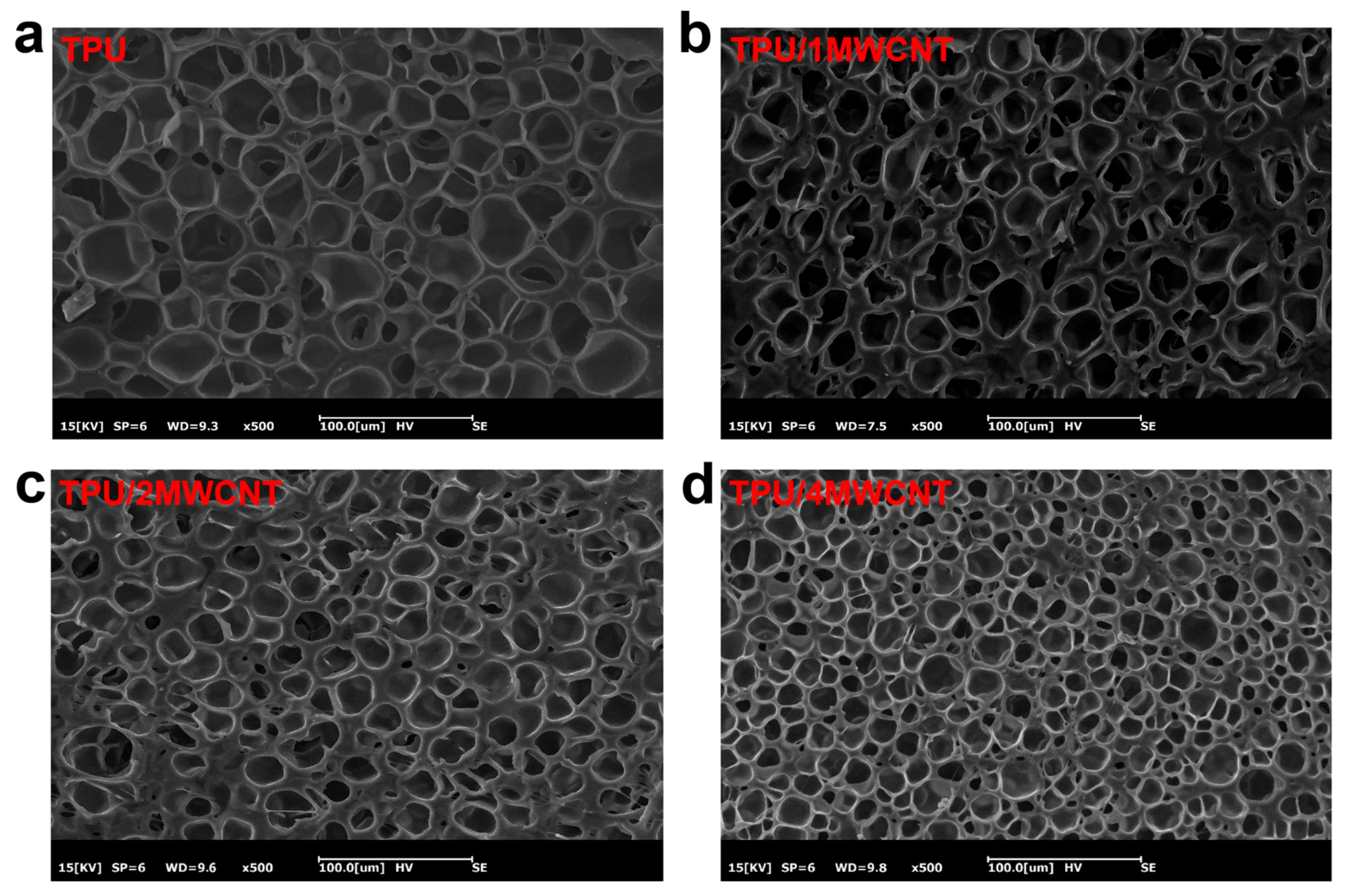 Polymers 15 01535 g002 Polymers 15 01535 g002