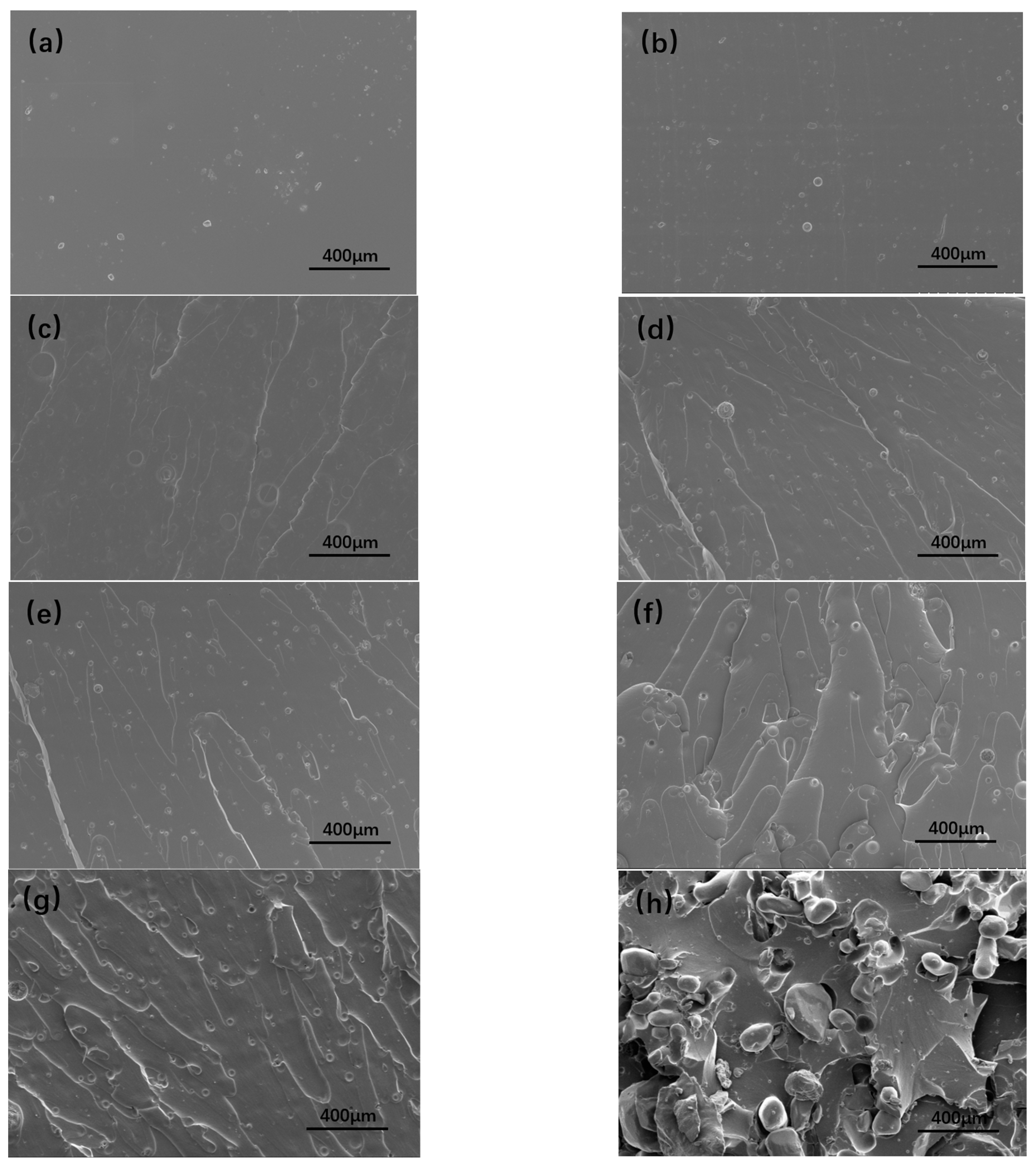 Polymers 15 01538 g005