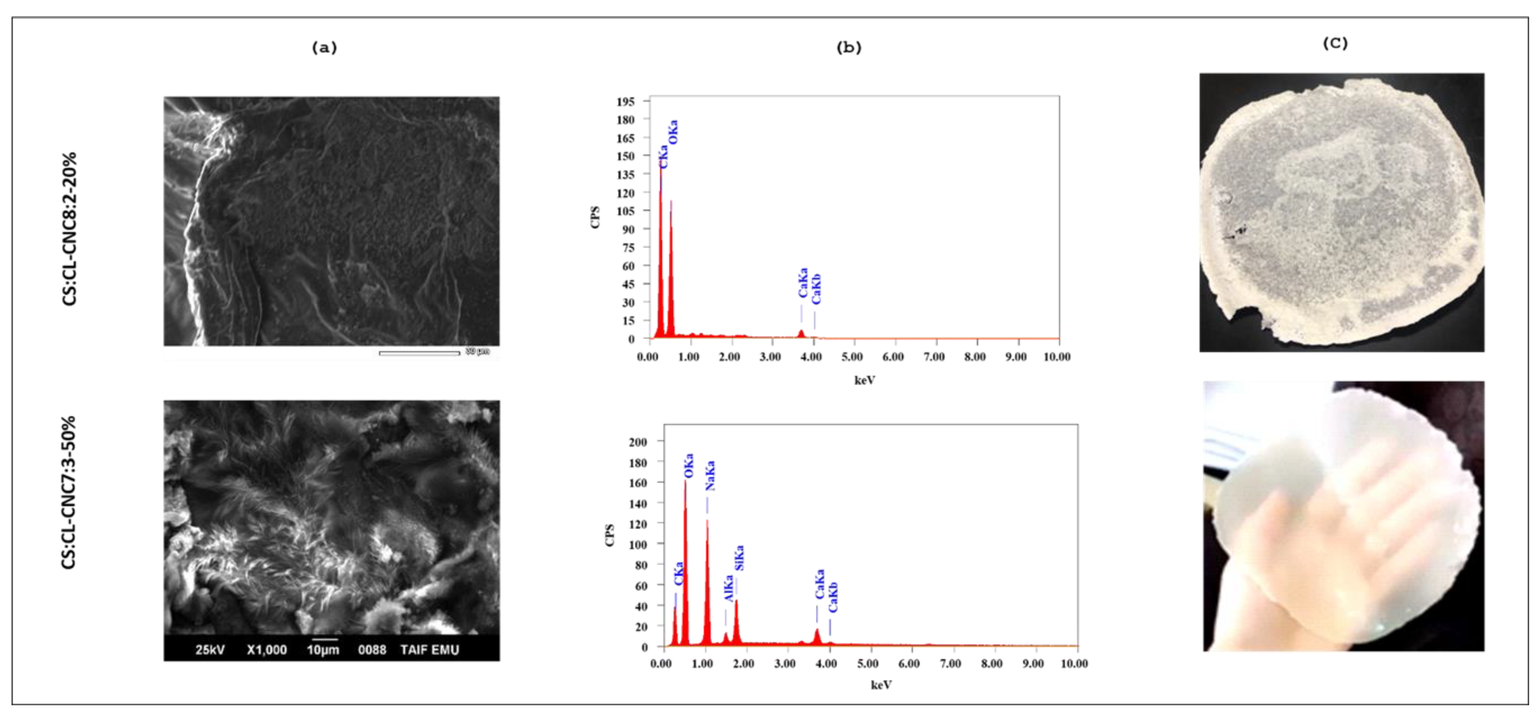 Polymers 15 01542 g003 Polymers 15 01542 g003