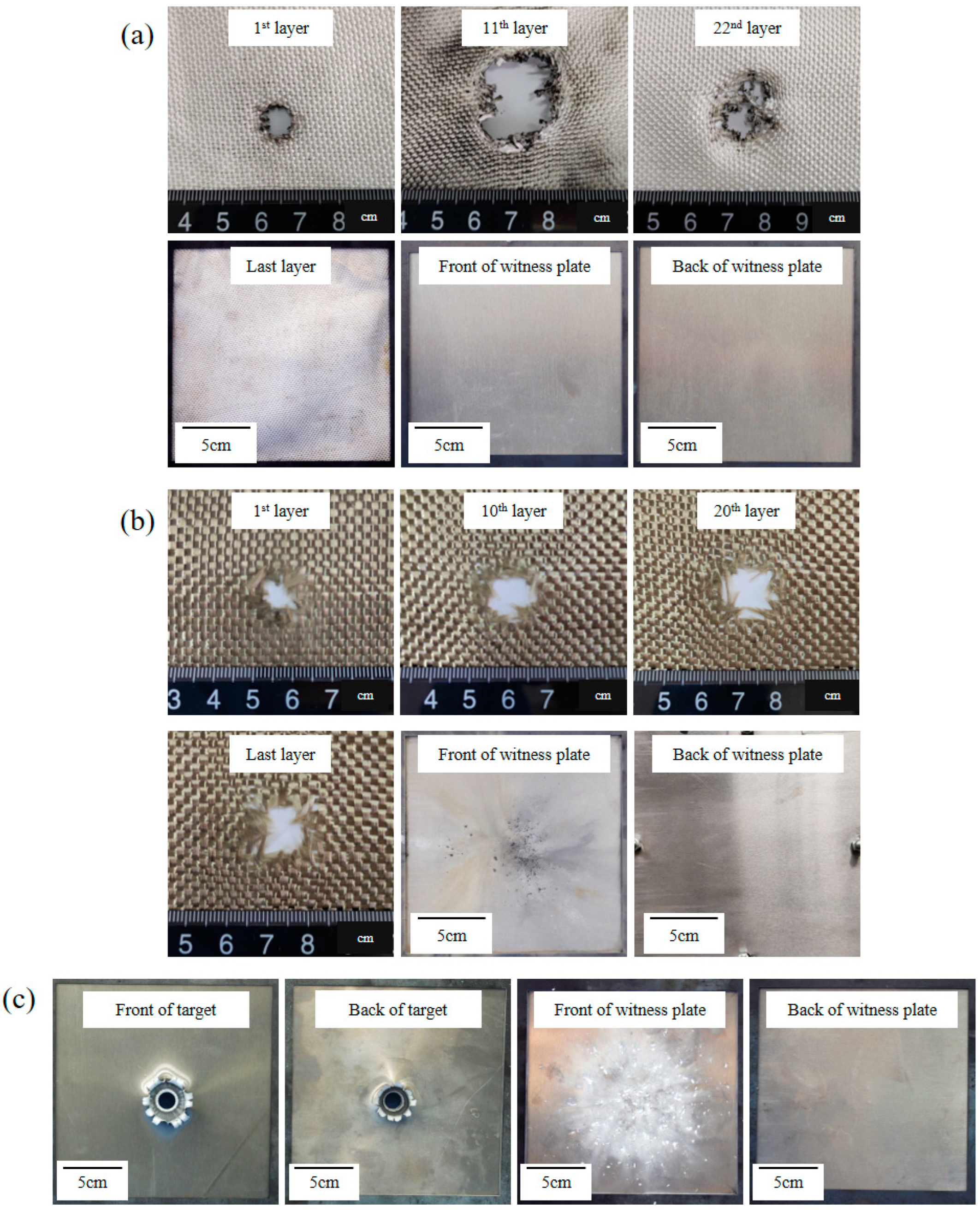 Polymers 15 01547 g004