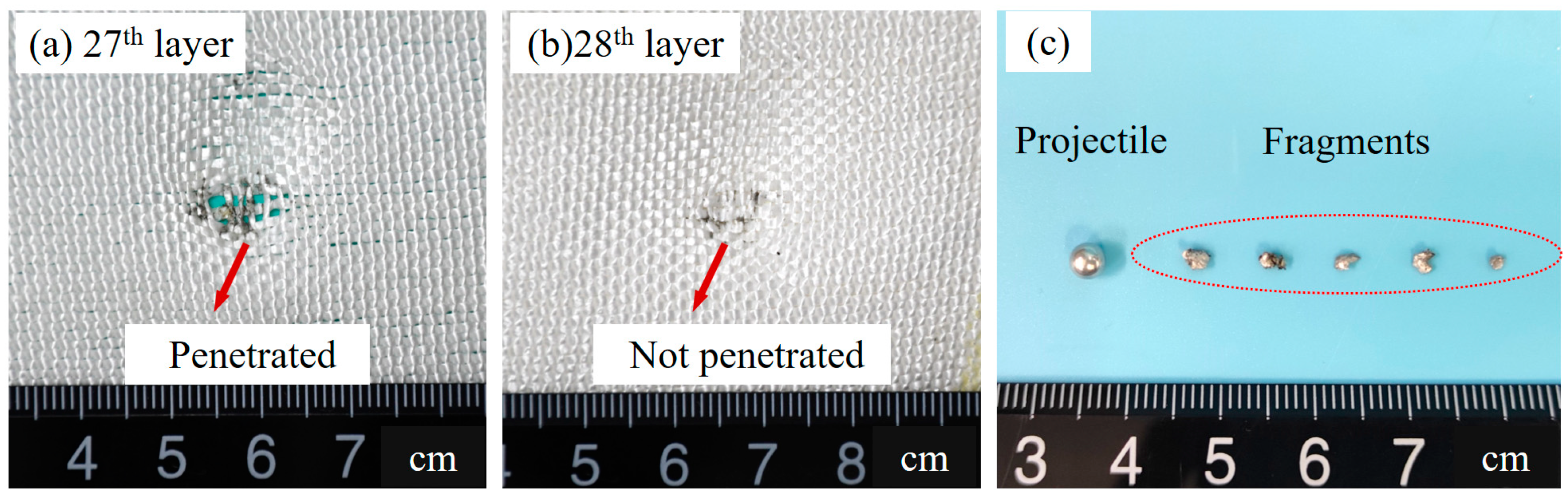 Polymers 15 01547 g006