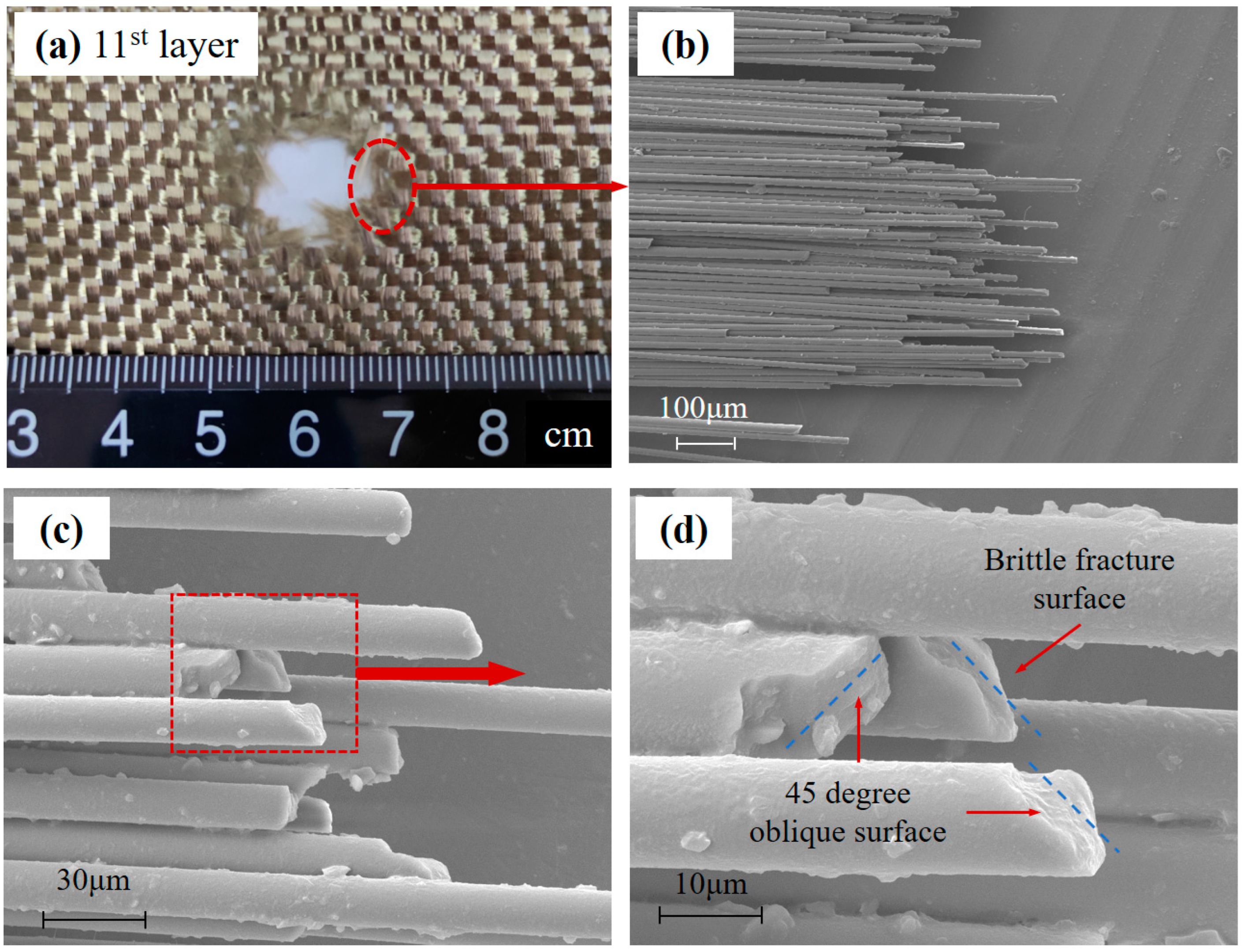 Polymers 15 01547 g008