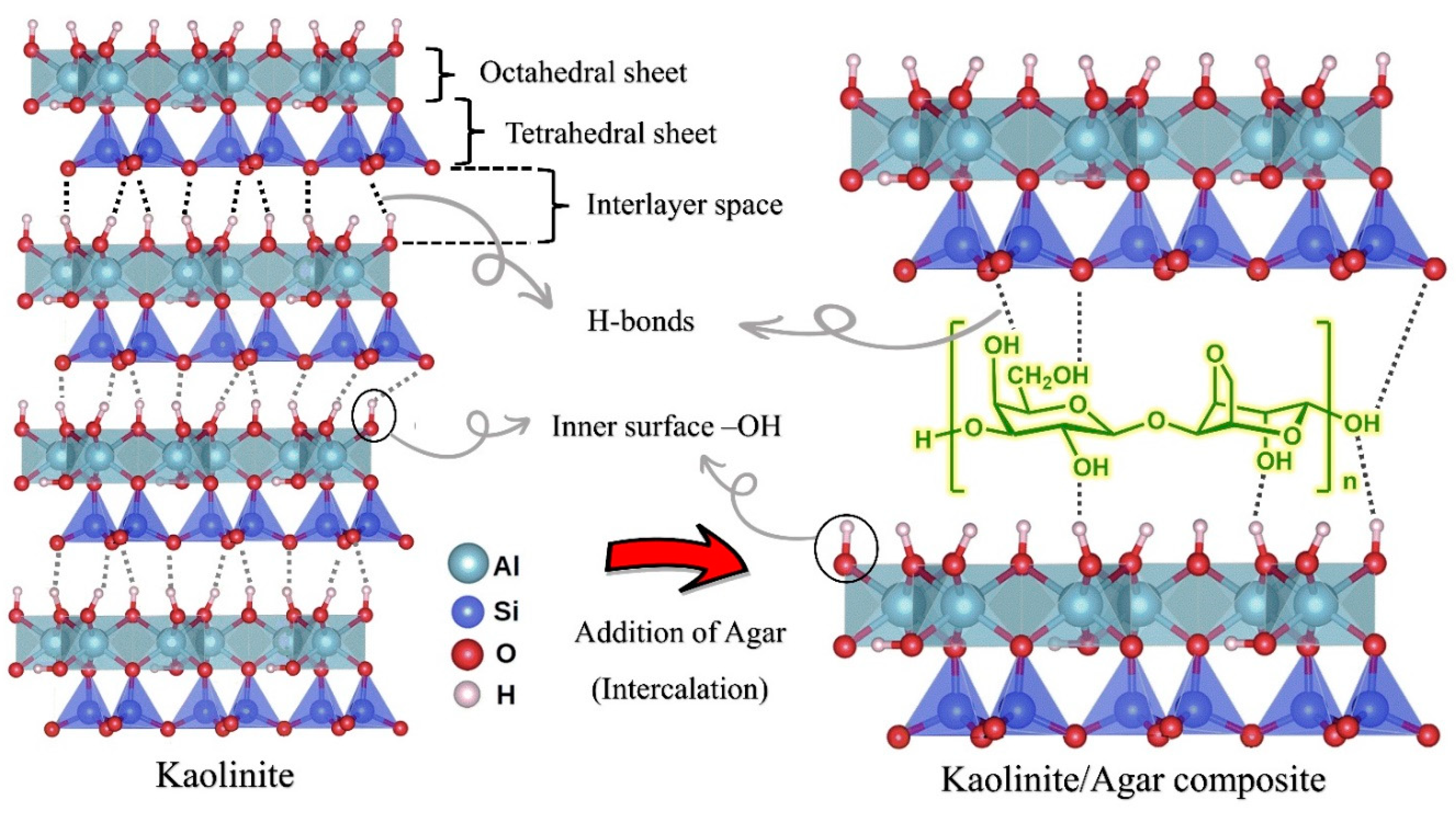 Polymers 15 01549 g011