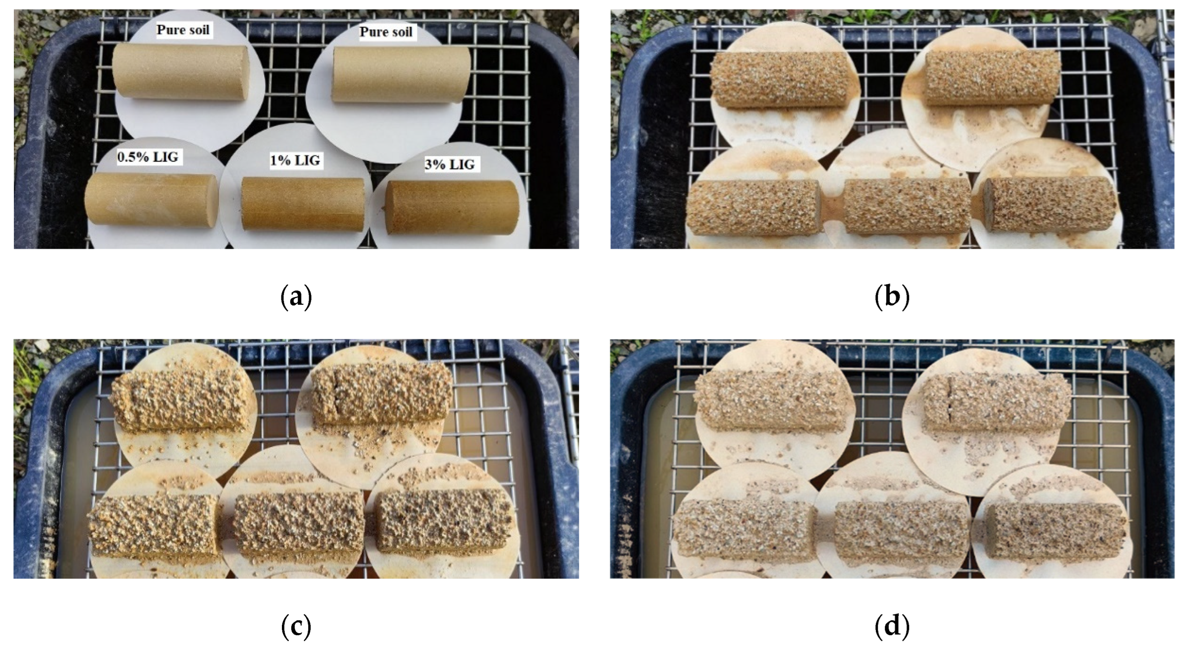 Polymers 15 01556 g009