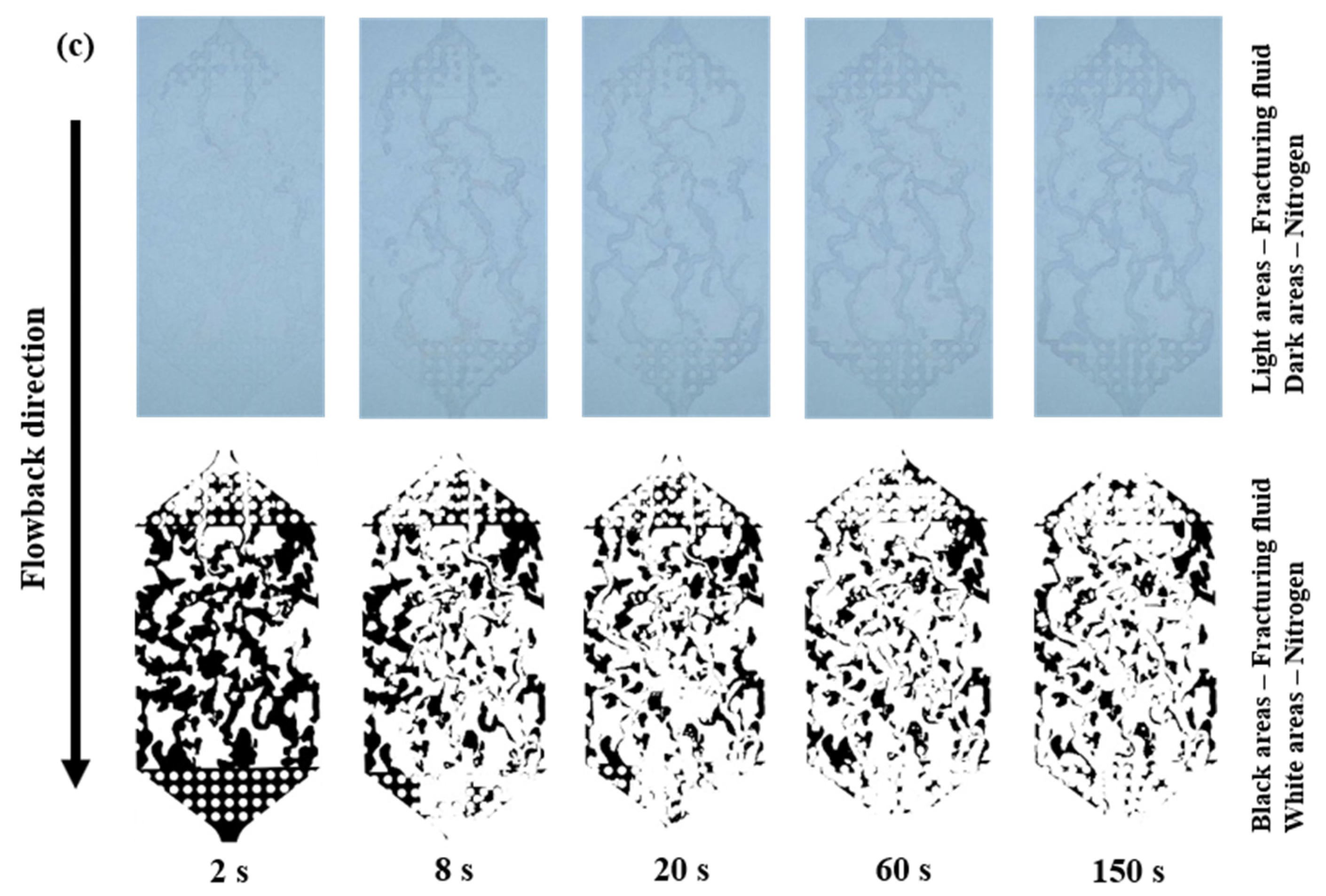 Polymers 15 01560 g008b