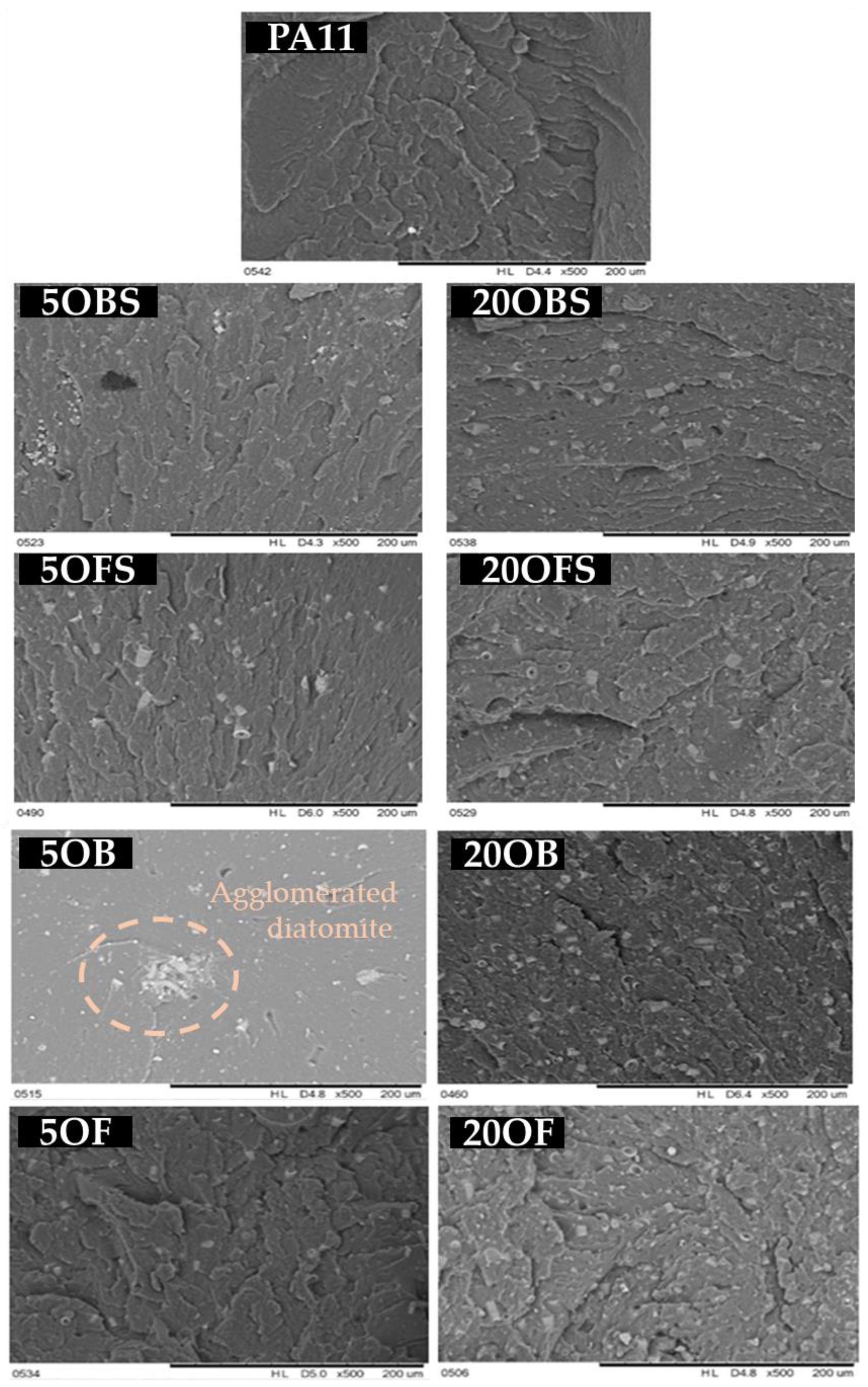 Polymers 15 01563 g018