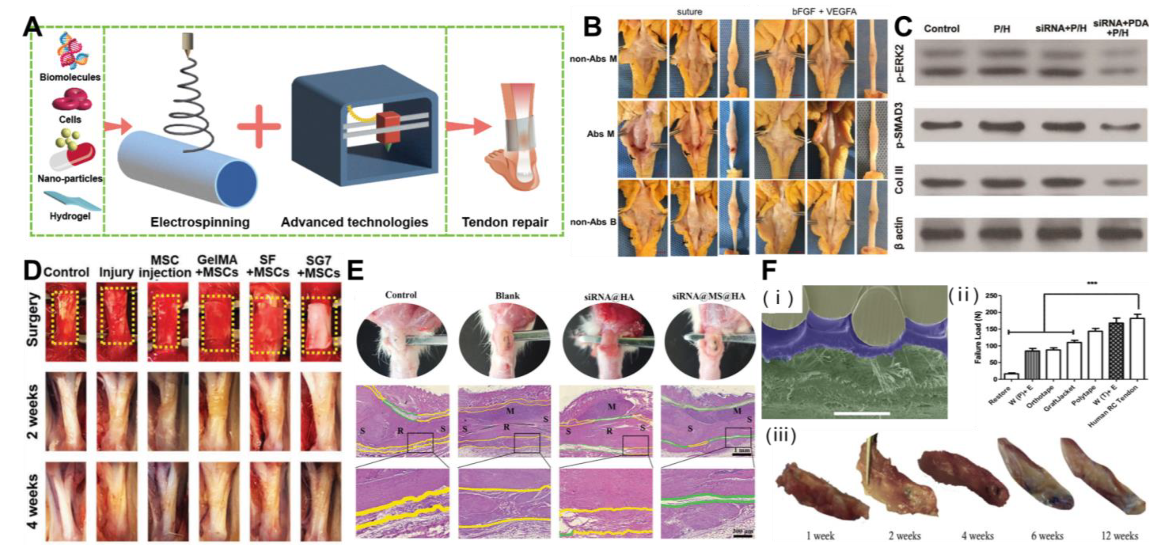 Polymers 15 01566 g003 Polymers 15 01566 g003