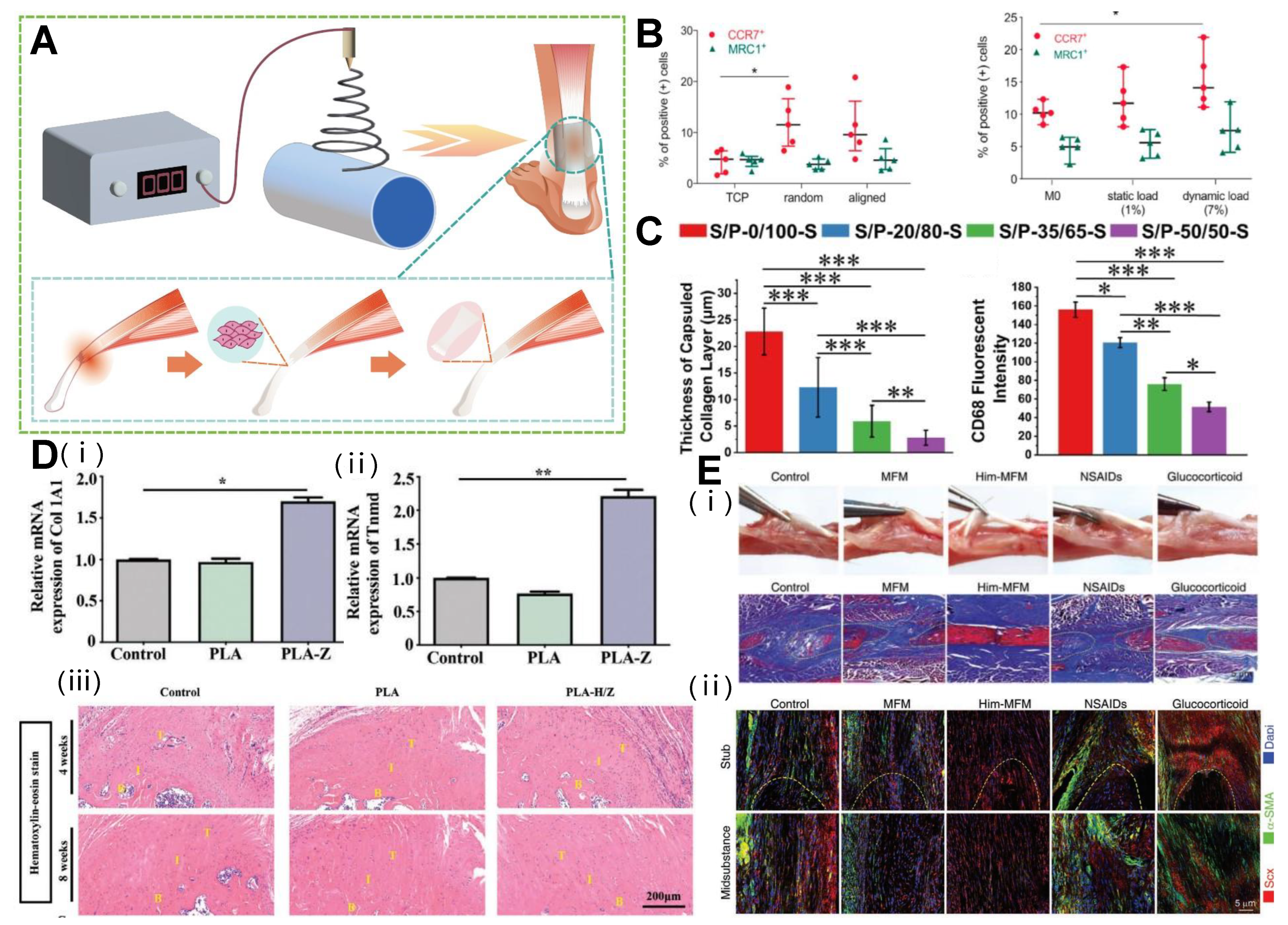 Polymers 15 01566 g004 Polymers 15 01566 g004