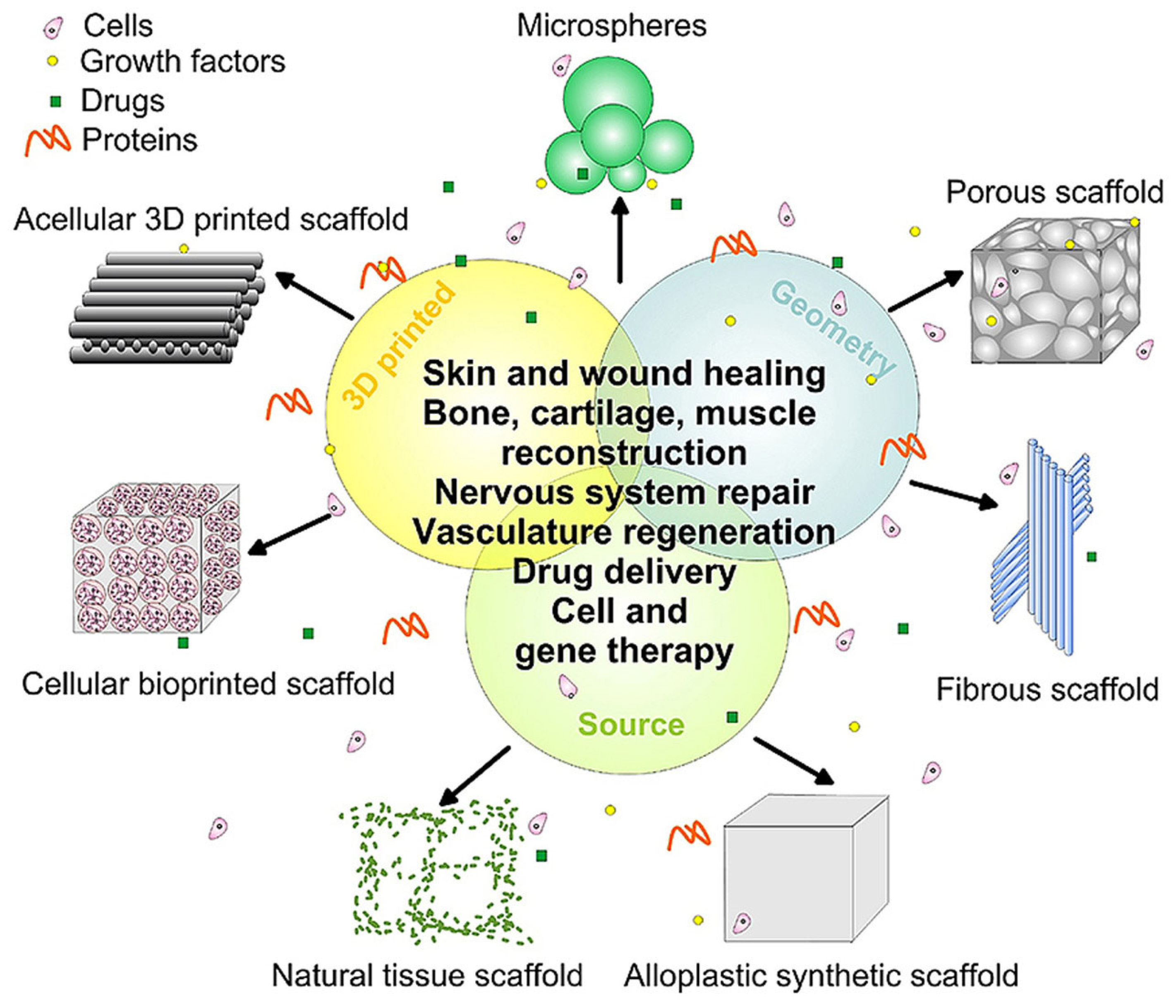 Polymers | Free Full-Text | A Short Review on Nanostructured