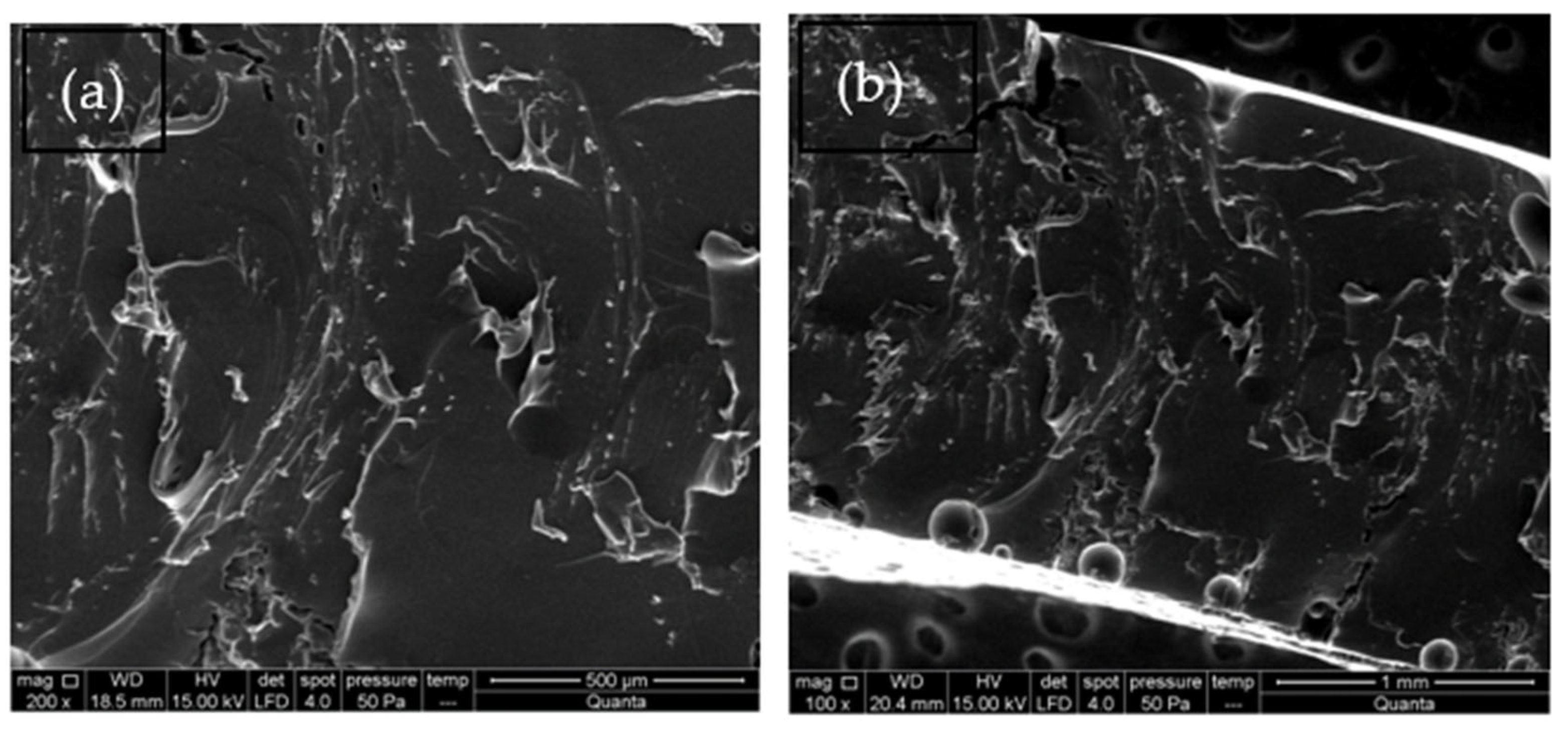 Polymers 15 01589 g015