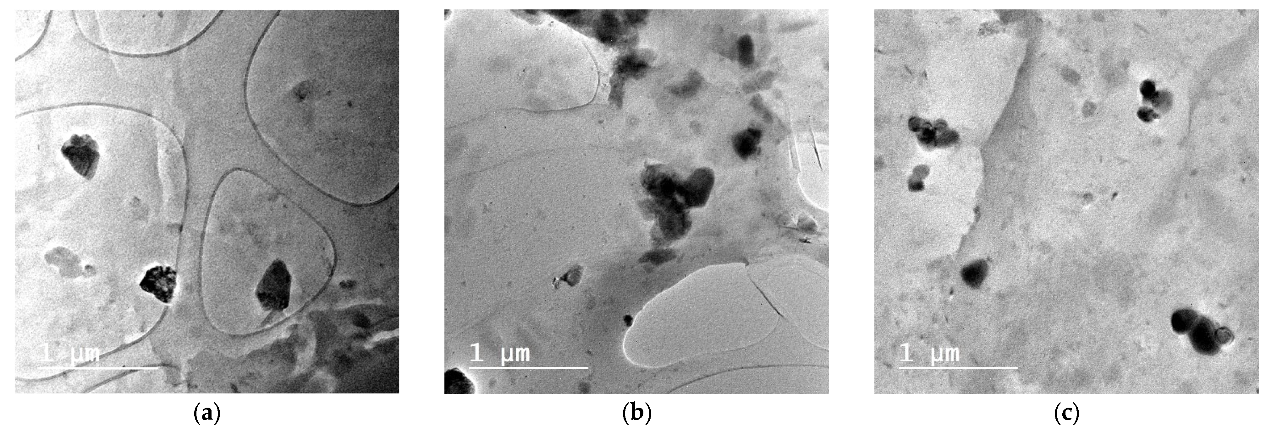 Polymers 15 01603 g002 Polymers 15 01603 g002
