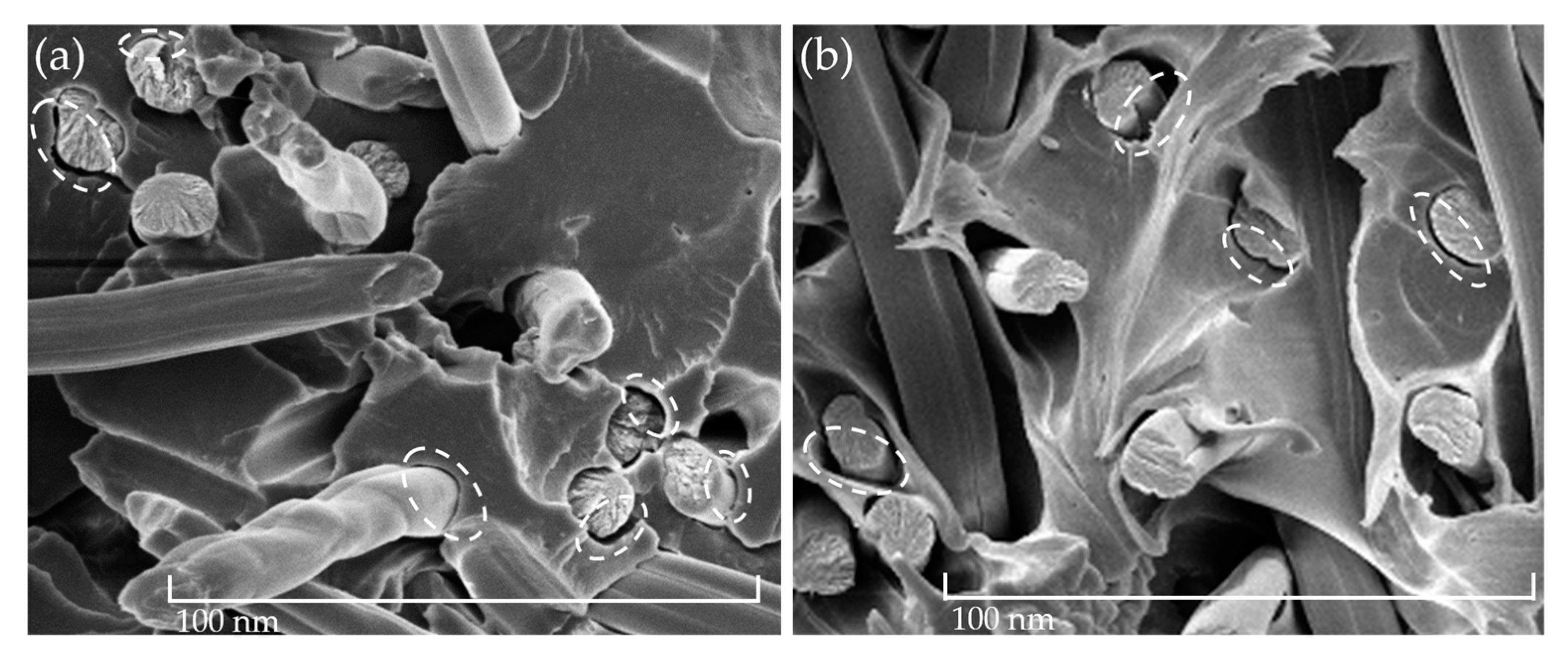 Polymers 15 01606 g006 Polymers 15 01606 g006