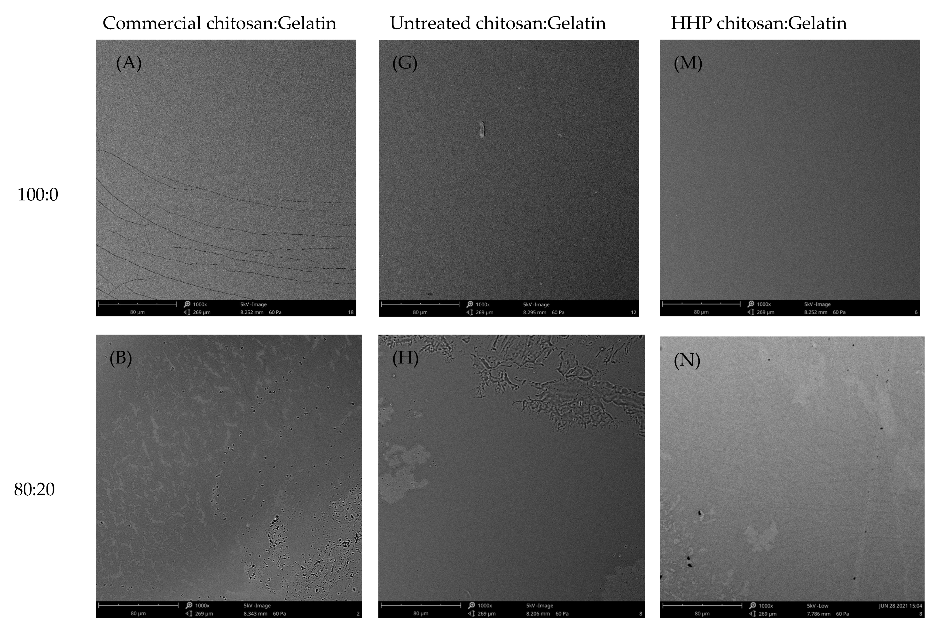 Polymers 15 01608 g004a Polymers 15 01608 g004a
