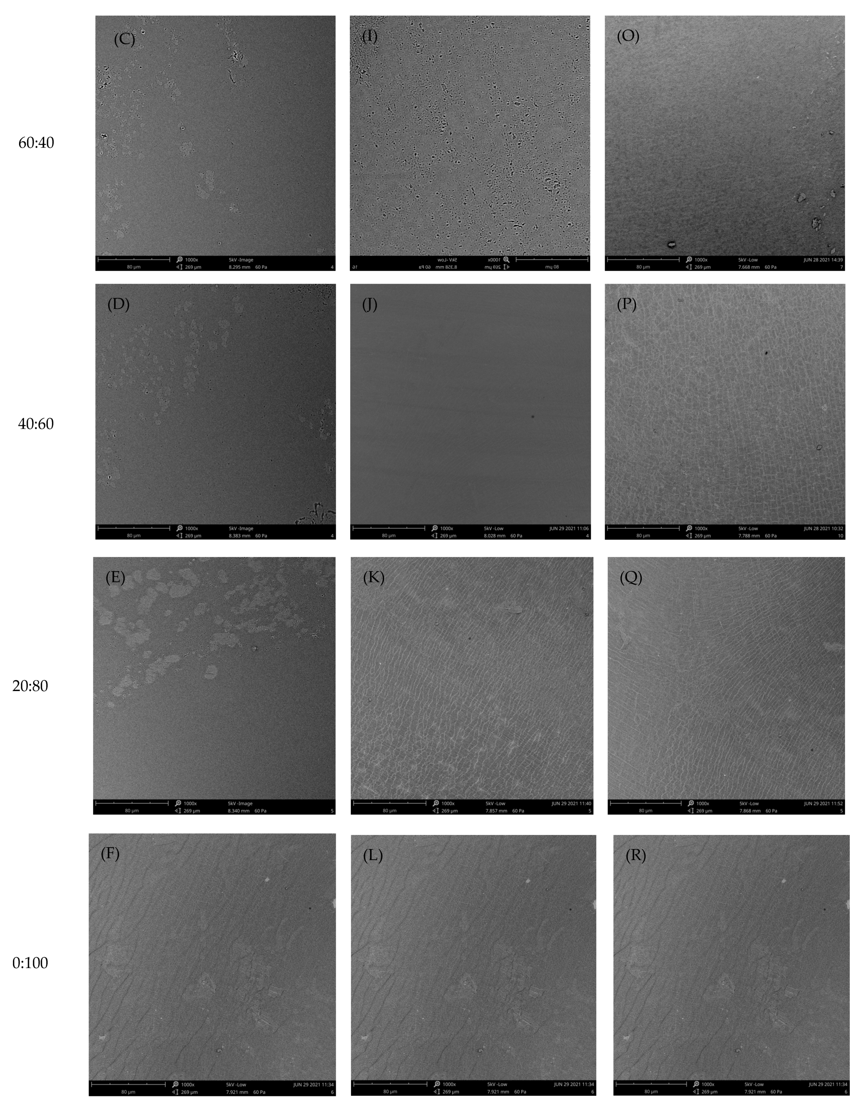 Polymers 15 01608 g004b Polymers 15 01608 g004b