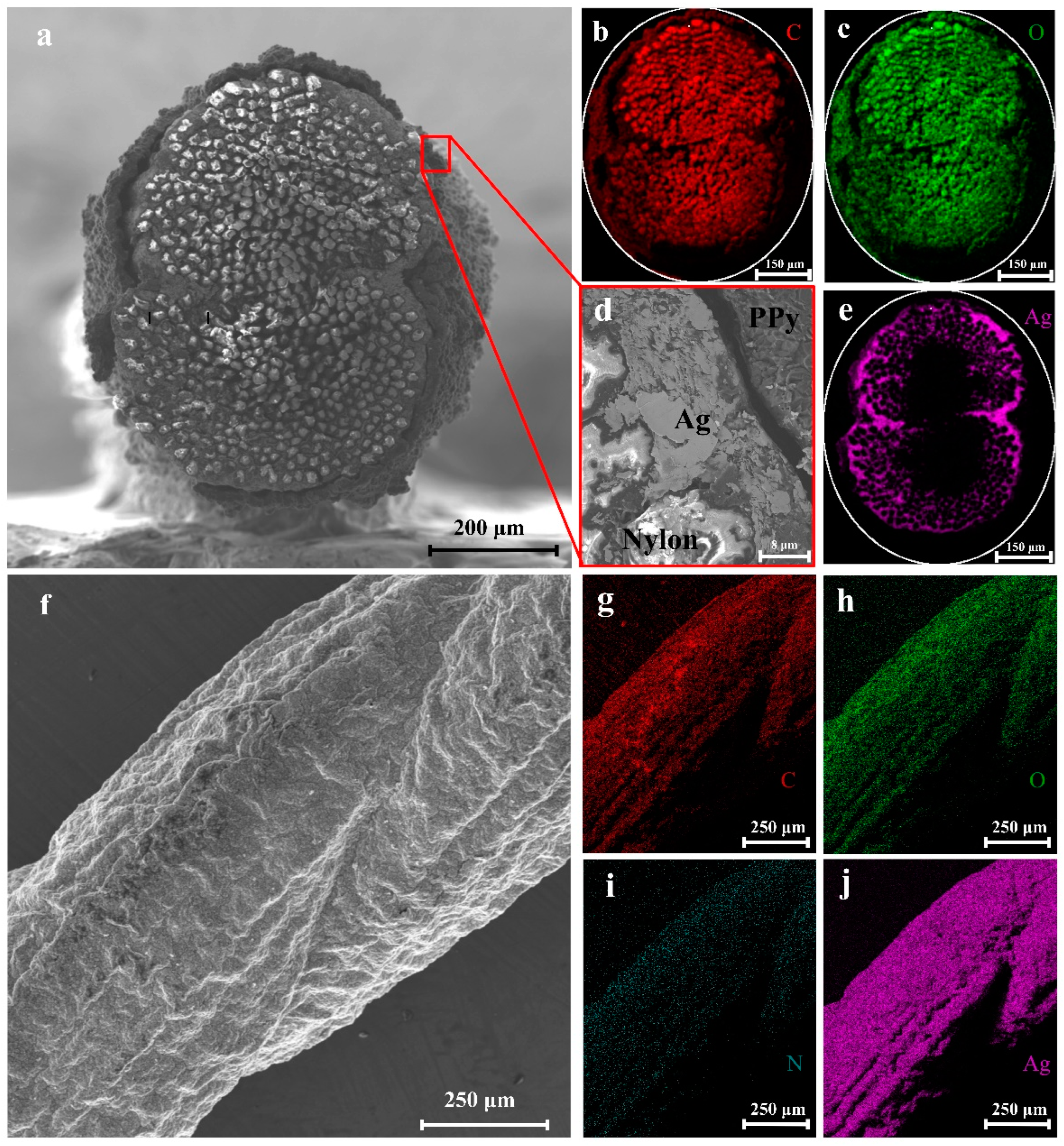 Polymers 15 01627 g005