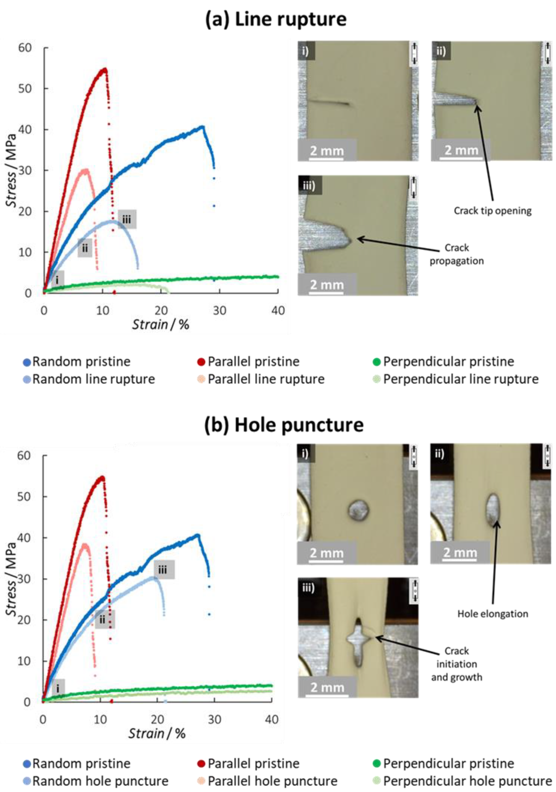 Polymers 15 01630 g005 Polymers 15 01630 g005