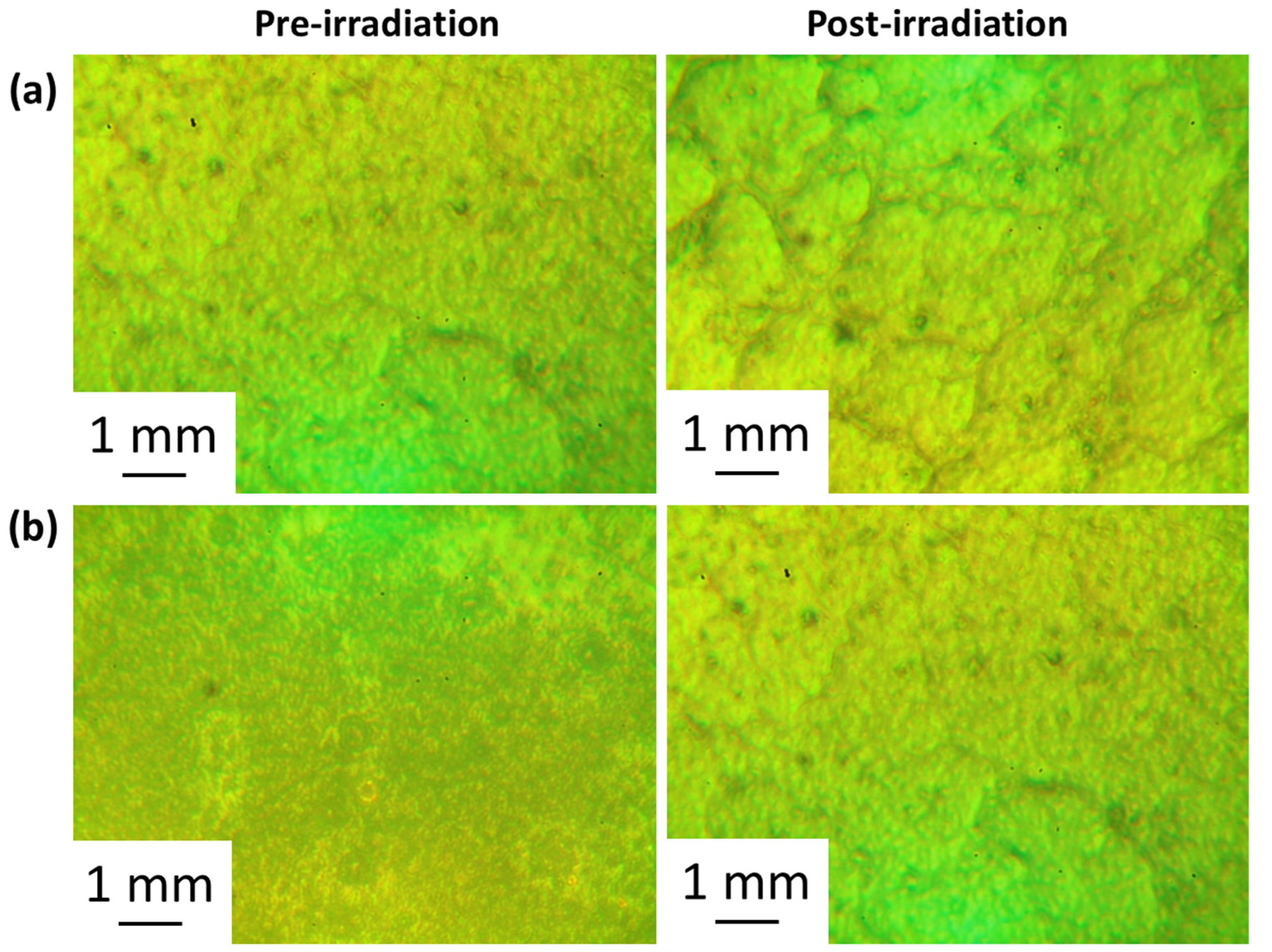 Polymers 15 01632 g007a Polymers 15 01632 g007a