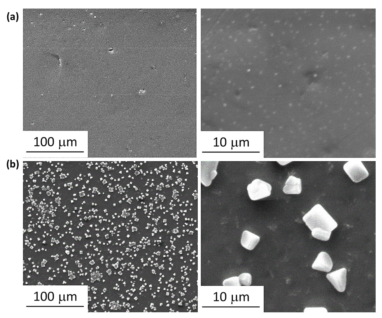Polymers 15 01632 g008 Polymers 15 01632 g008