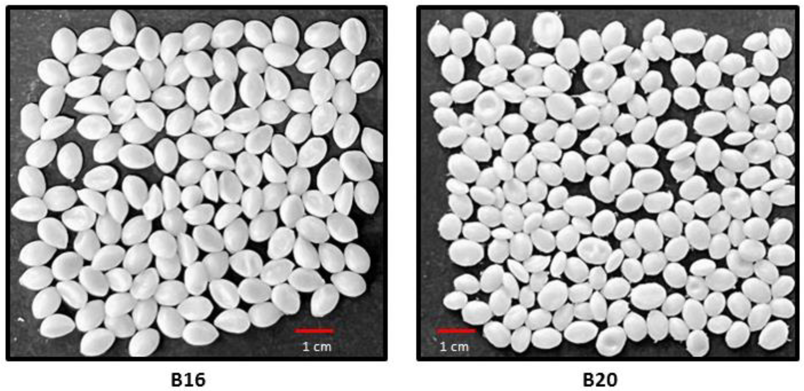 Polymers 15 01634 g001 Polymers 15 01634 g001