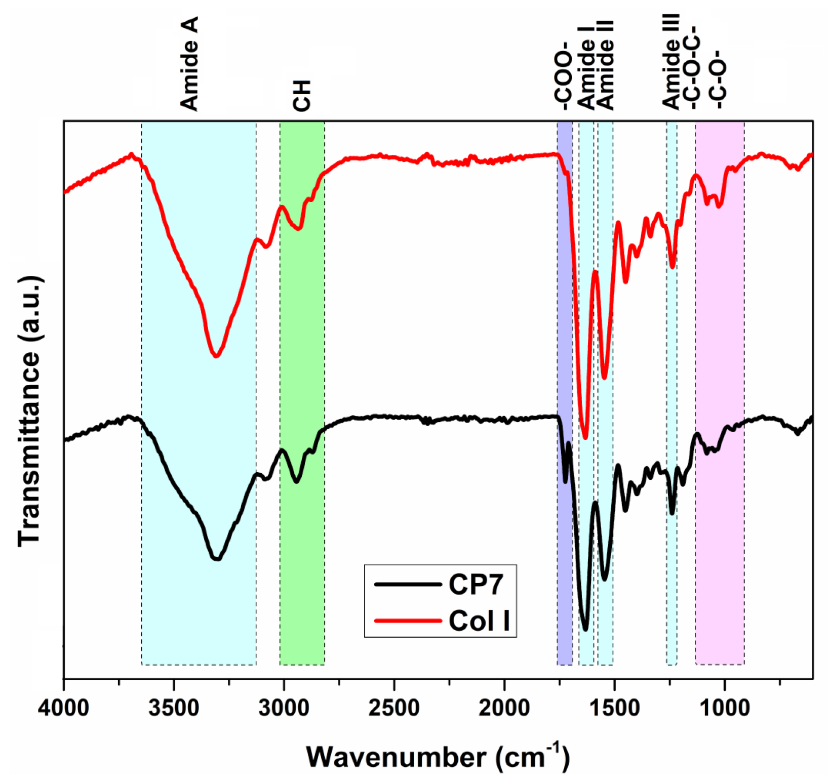 Polymers 15 01635 g002