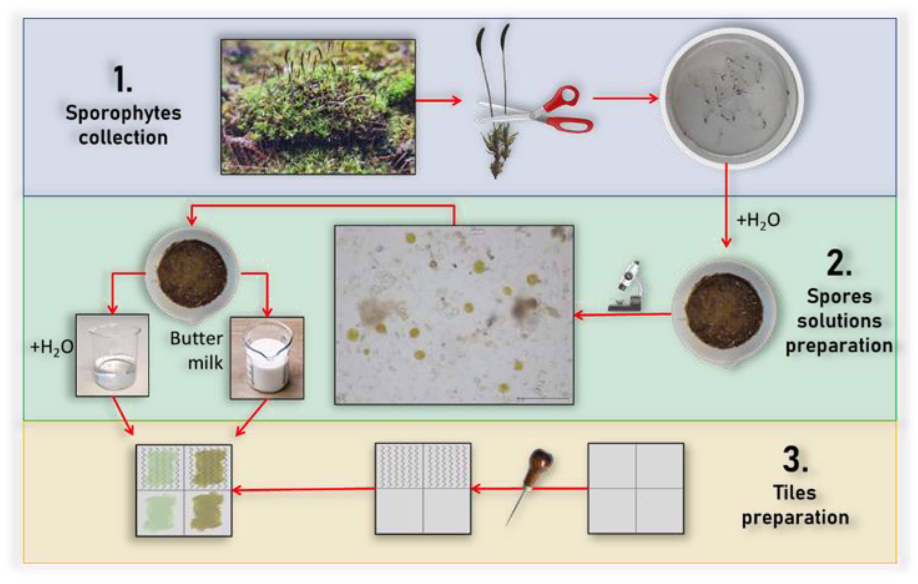 Polymers 15 01639 g002