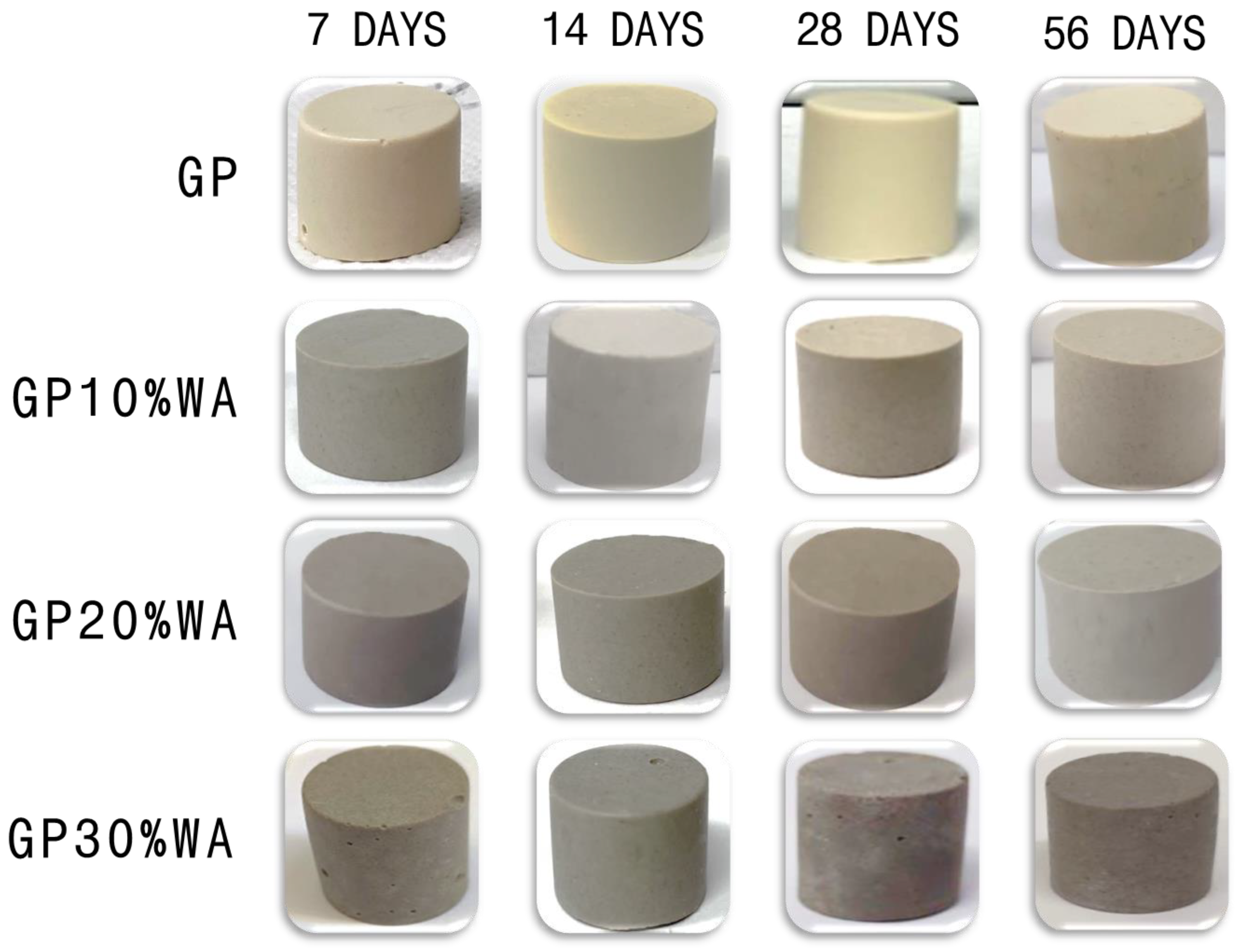 Polymers 15 01639 g004