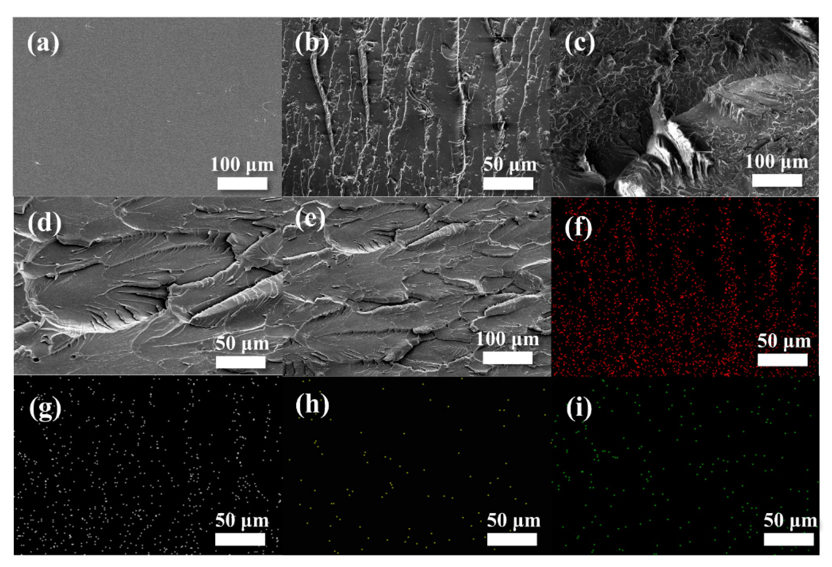 Polymers 15 01655 g003 Polymers 15 01655 g003