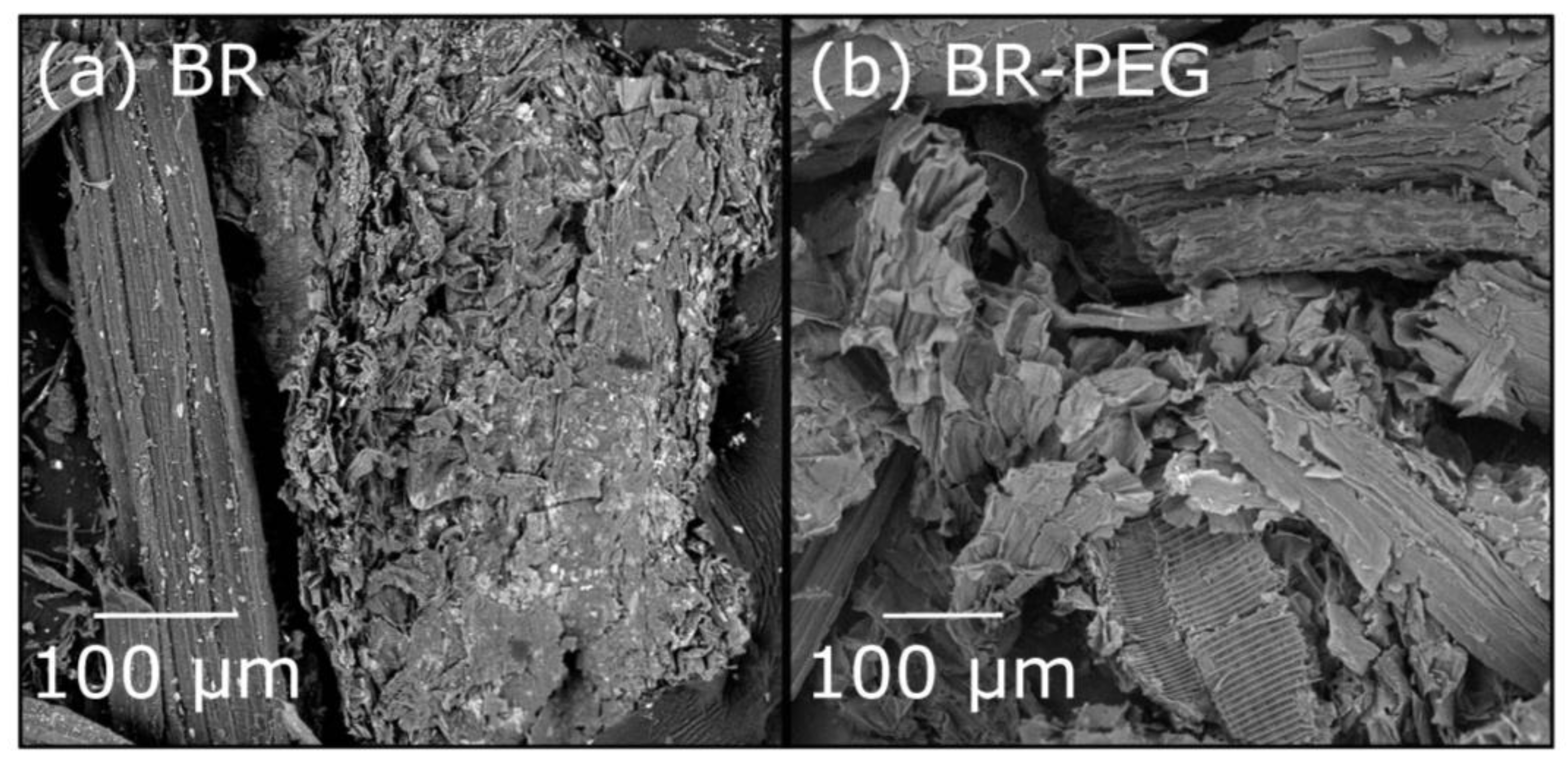 Polymers 15 01666 g001 Polymers 15 01666 g001